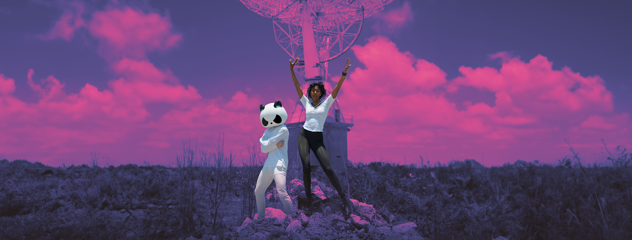 satellite web header.png