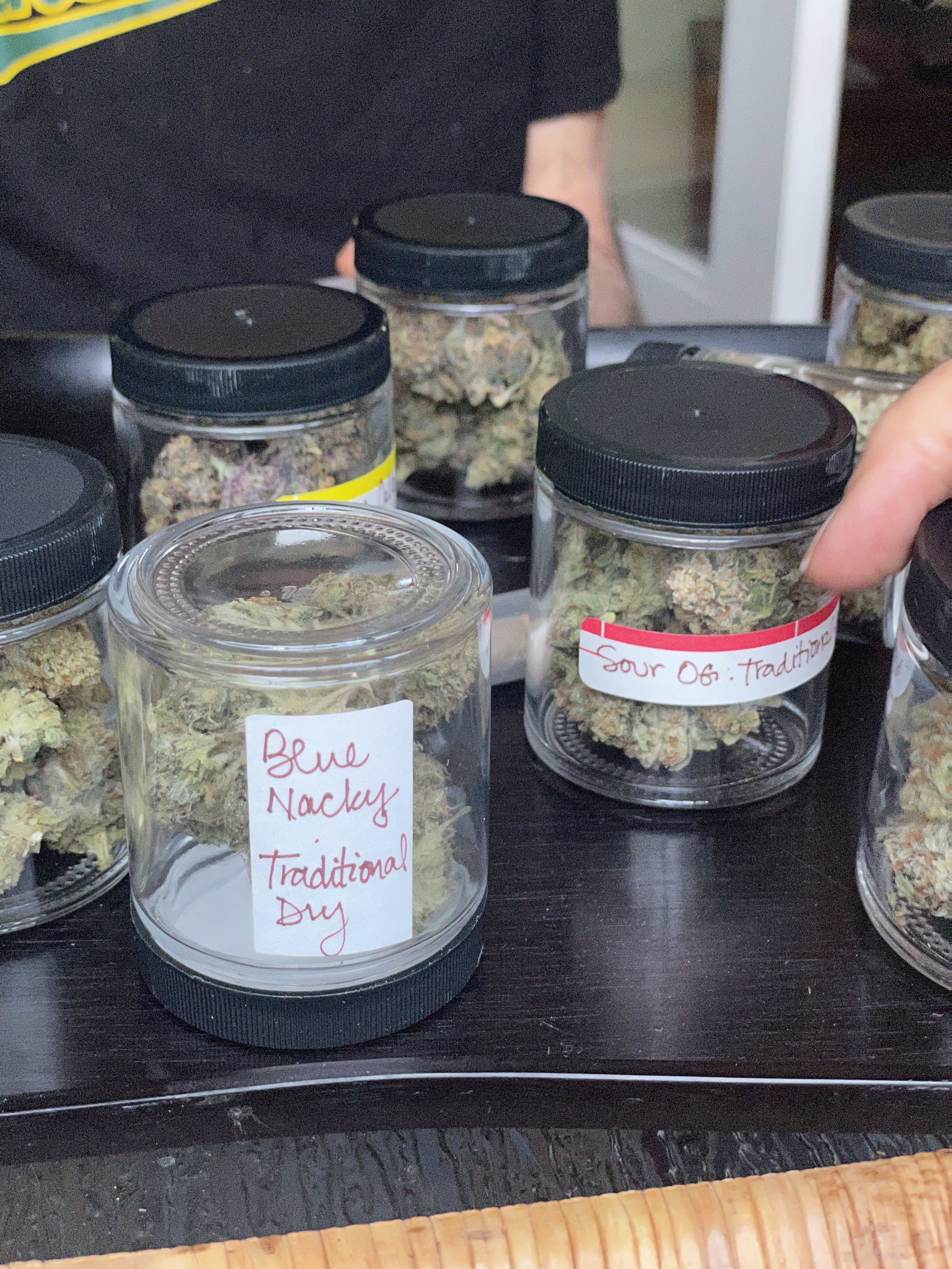 Labeled cannabis flower samples used in a side-by-side taste test comparing traditional drying with HyDry processing