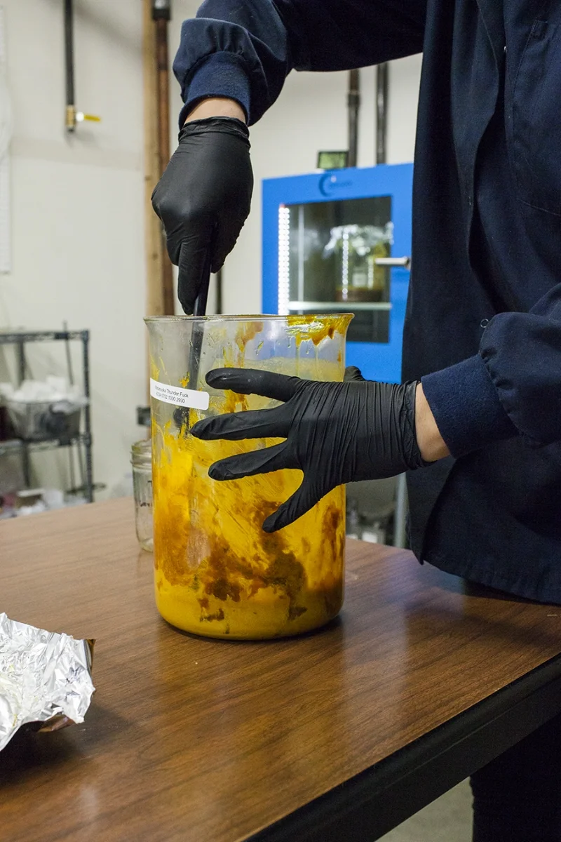 Marijuana extraction is leap-frogging into the future. Alaska Thunder Fuck CO2 extract at Heylo Cannnabis Extracts in WA. Photo: Kristen Angelo