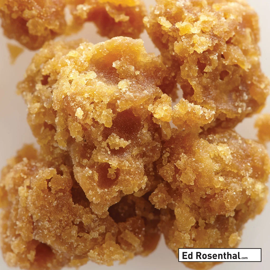 OG Kush Concentrate – Photo by Nabim Sabella Photography