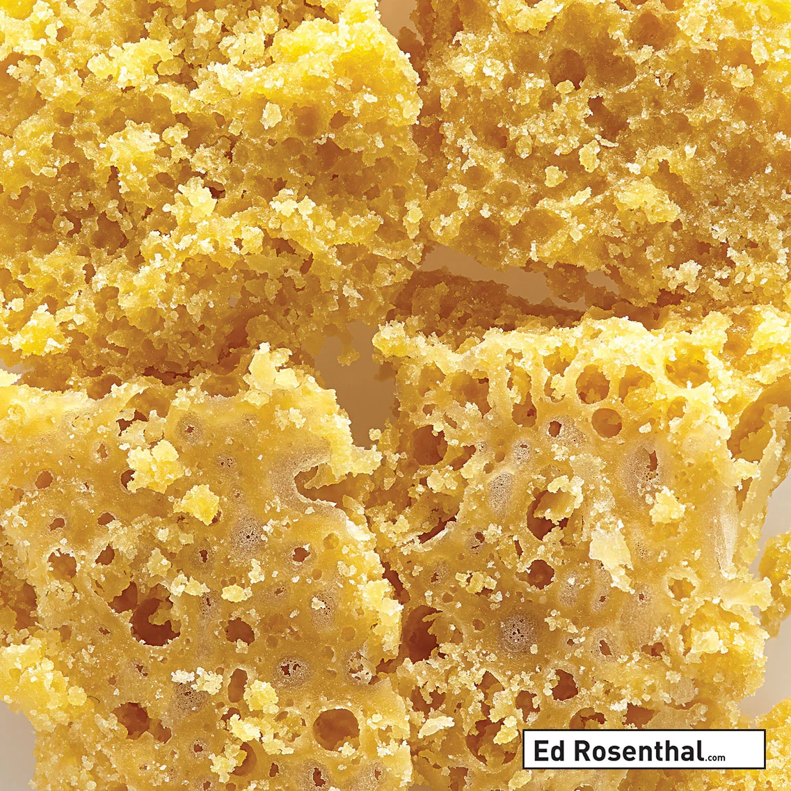 NYC Diesel Concentrate – Photo by Nabim Sabella Photography