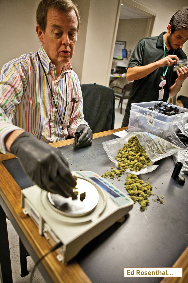 In an era where it has become easier both legally and technologically for gardeners to cultivate cannabis, the amount of product available in markets like ours is immense but repetitious. Photo by Gracie Malley