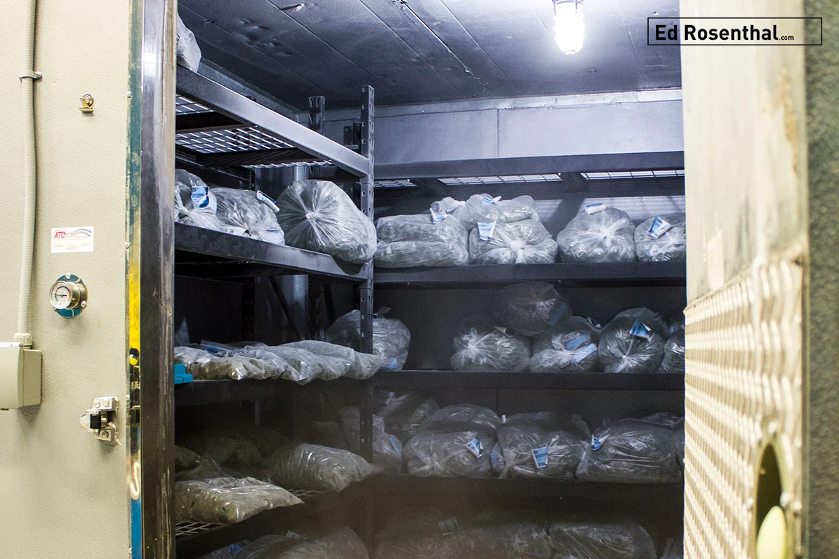 Storage Moisture: Dried buds should be stored in a space or container that maintains a humidity level, ideally, around 60%, or within a range of 58-65%. Image - deep freezer at Harmony Extracts