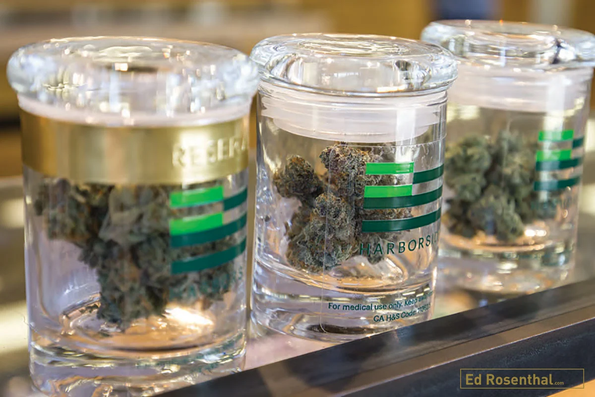 Cannabis flower samples displayed in clear containers at a dispensary, illustrating how products with similar THC percentages can differ in appearance and composition.