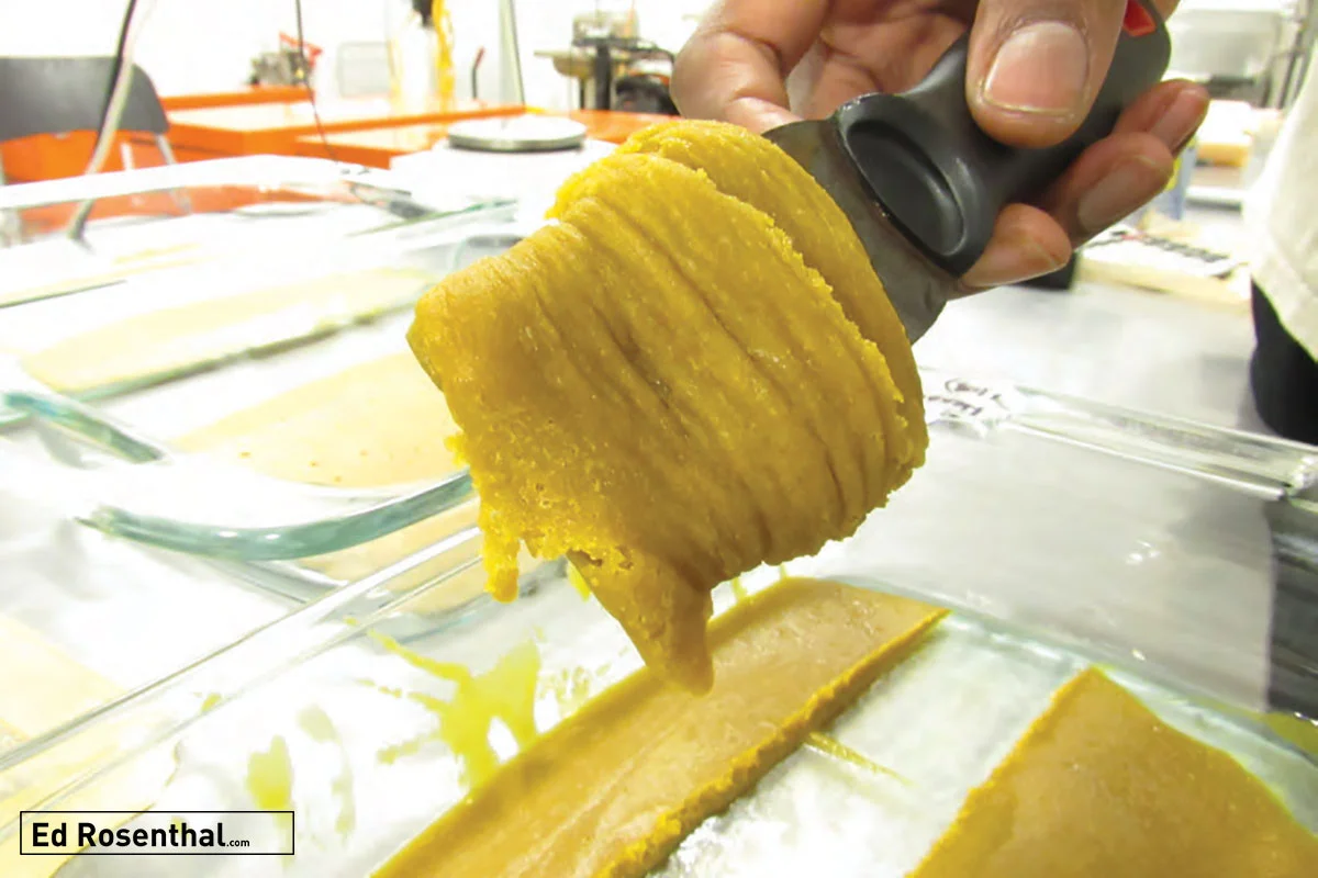 Scrape of sugary wax extract. Photo by David Downs .