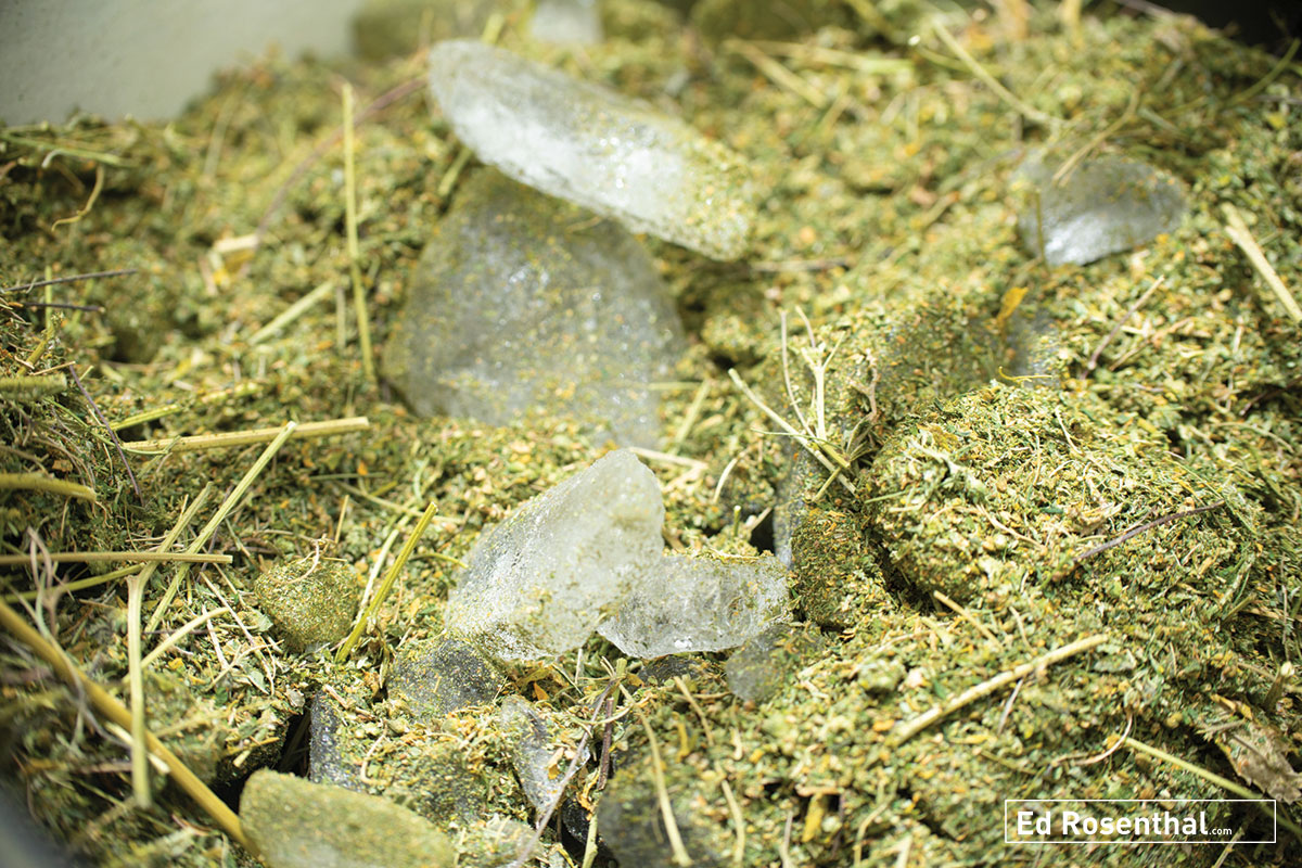 Cannabis leaf, trim, stems and ice. Photos: Lizzy Fritz .