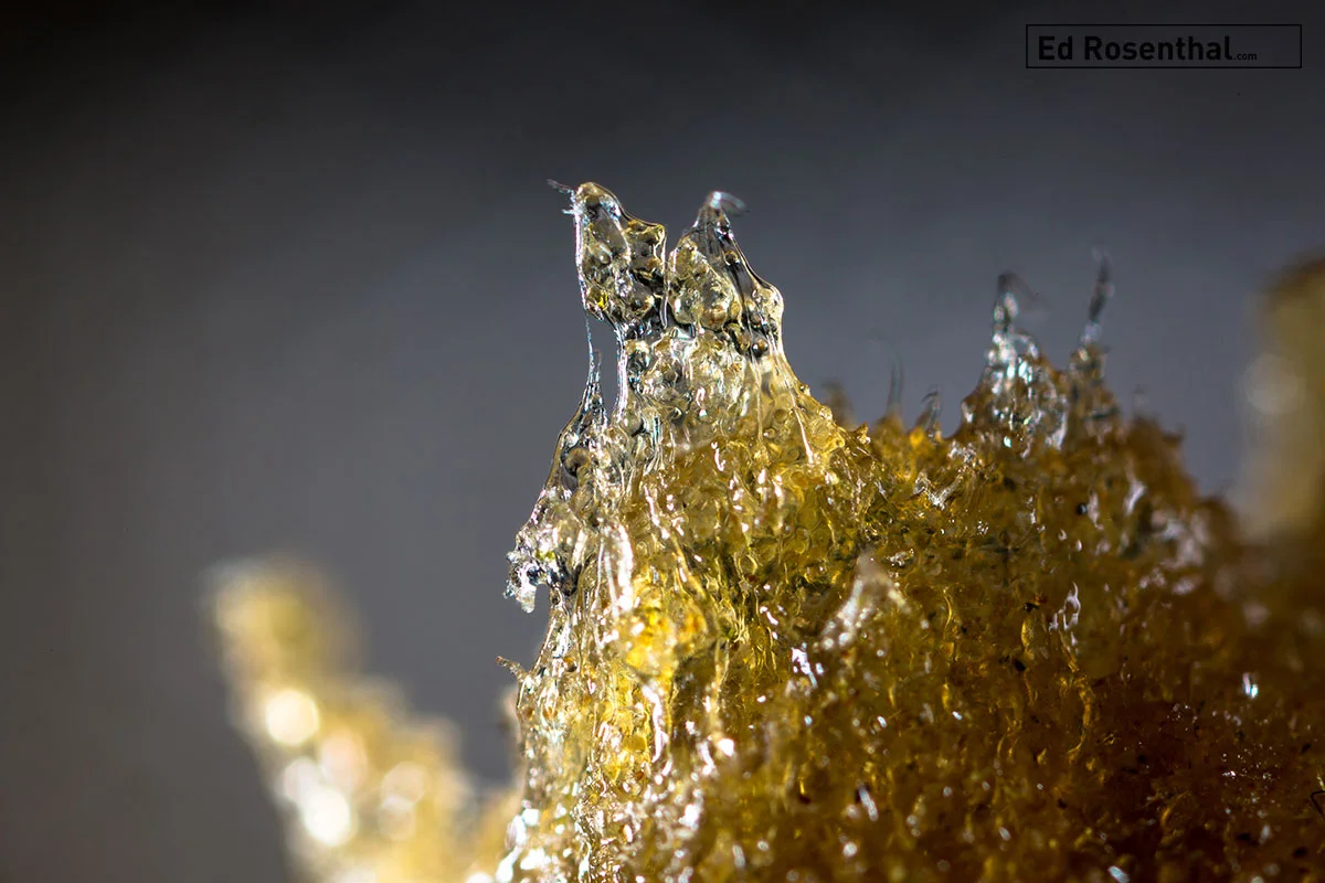 Water hash magnified. Photo: Marcus Bubbleman