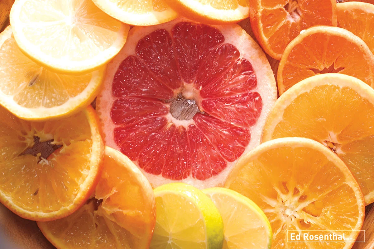 citrus-ed-rosenthal.jpg