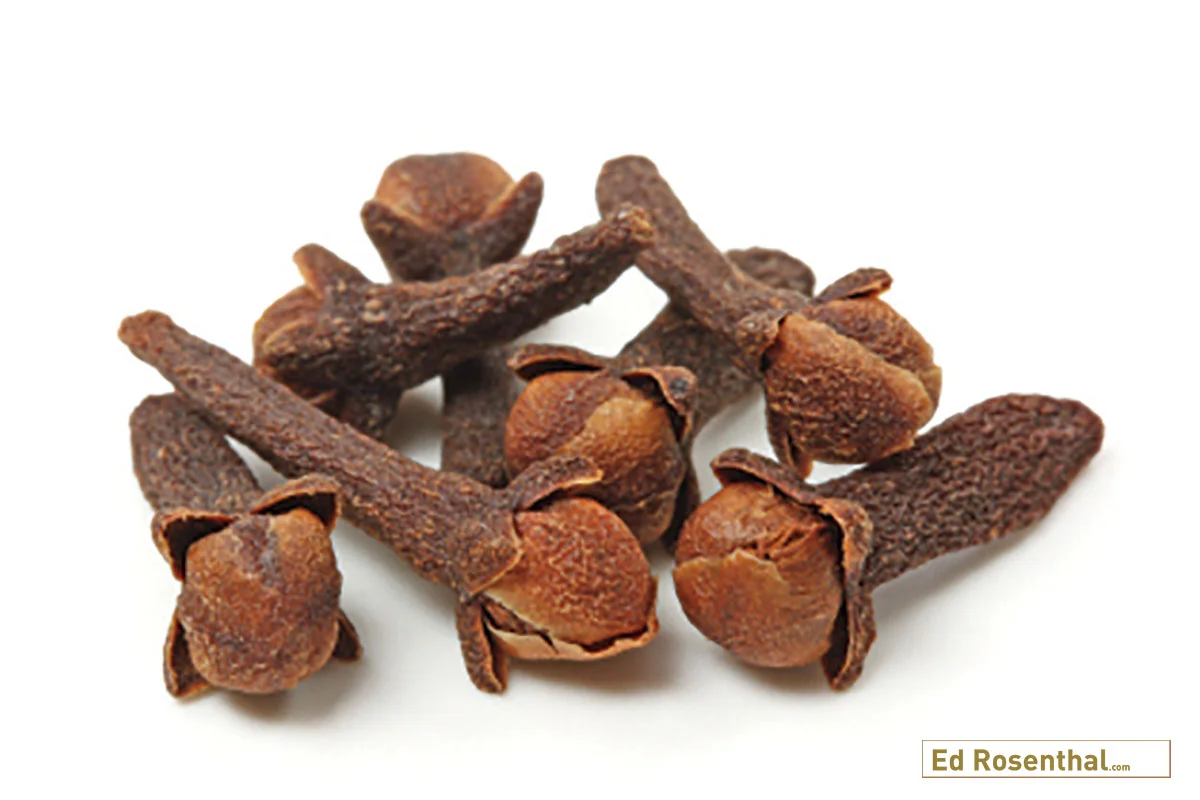 clove-ed-rosenthal.jpg