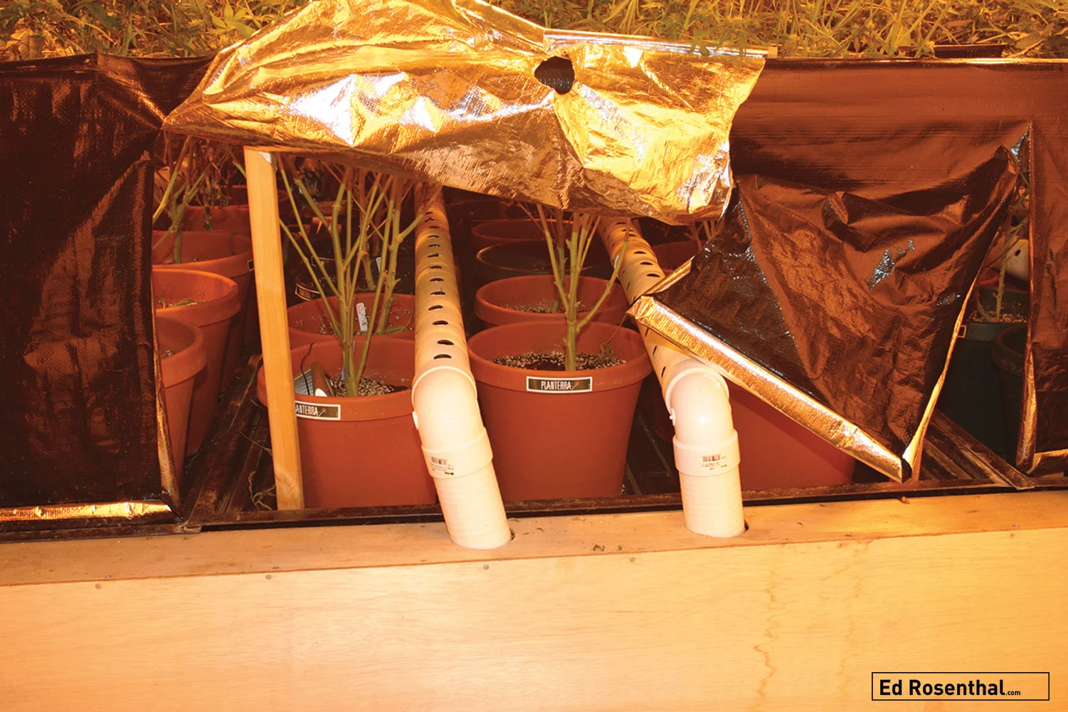 The reflectors, with no bottom glass, draw in air as it exits through a carbon filter.