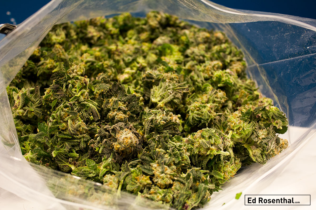 Fresh Frozen photo: Harmony Extracts Denver, CO