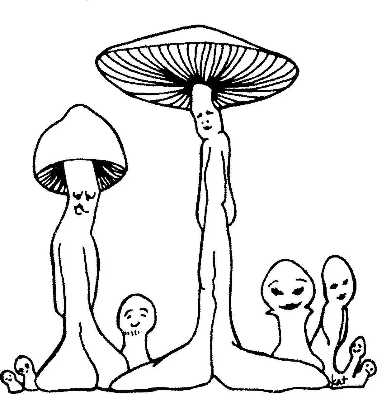 schrooms-ed-rosenthal-1.jpg