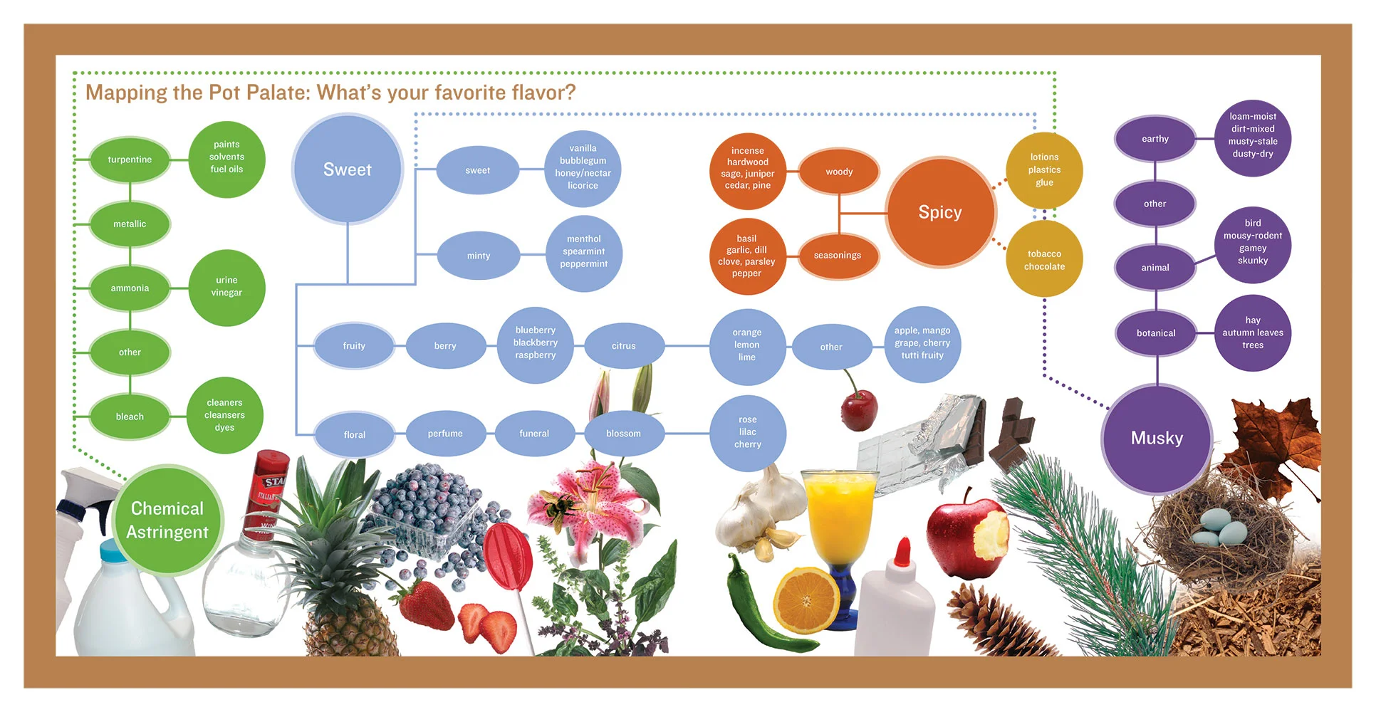 mapping-the-pot-palate-2.jpg