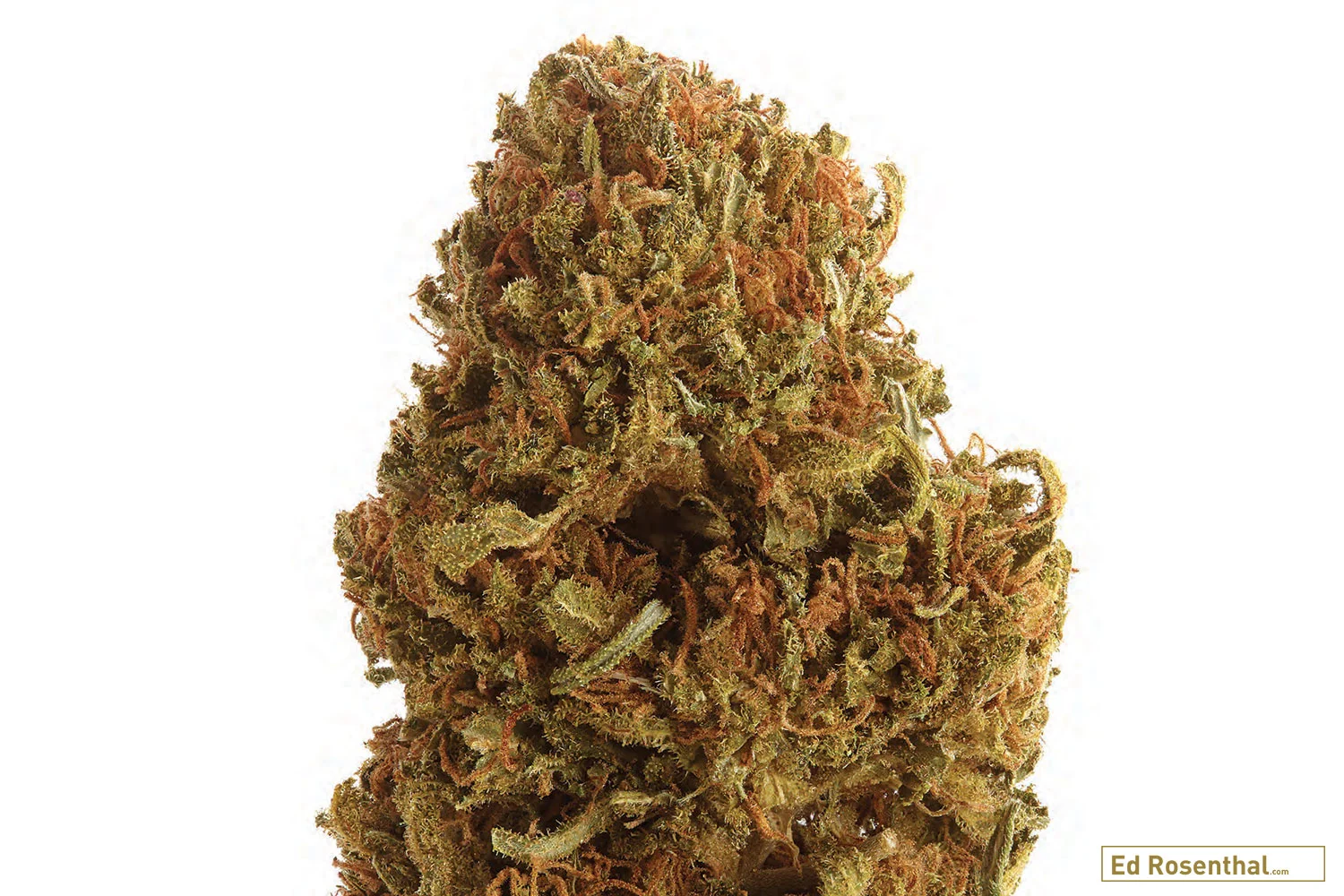 Barney’s Farm - 80 I / 20 S - Calming, relaxing, analgesic effects - Sweet, earthiness