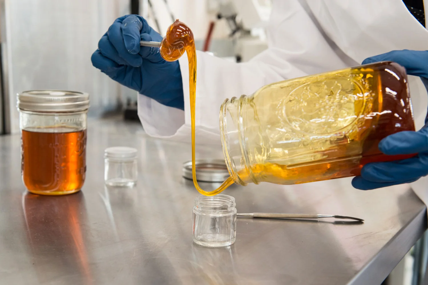 Photo: Wildseed Oil Lab
