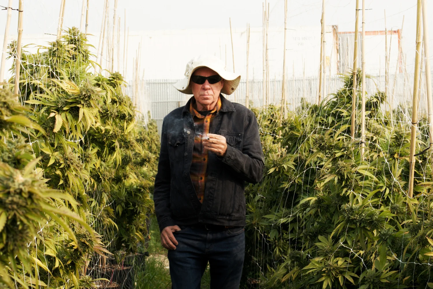 It wasn’t long ago that the idea of growing an acre of marijuana outdoors, in an urban area, was just a fantasy.