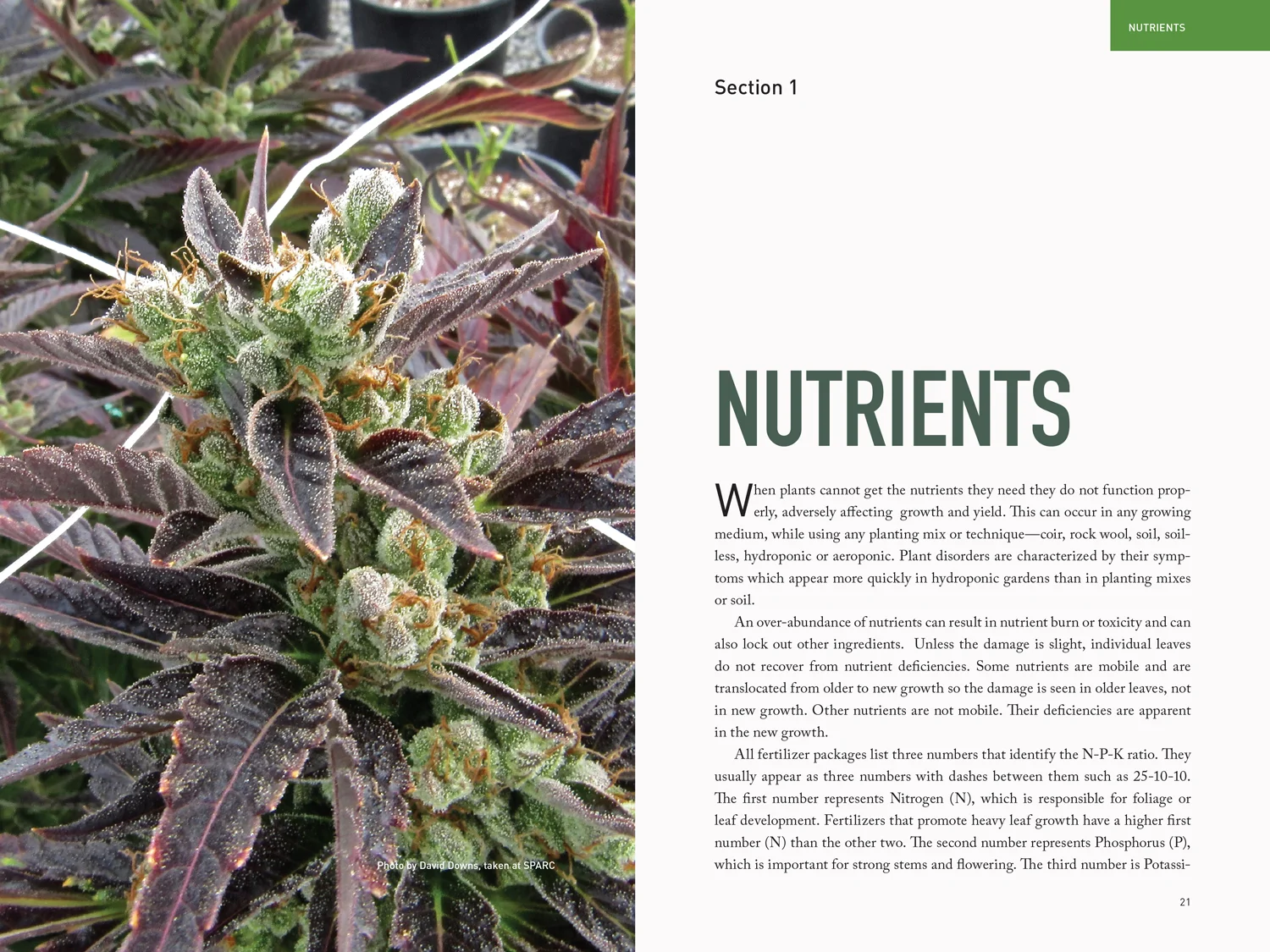 Ed_Rosenthal's_MGSV_II_Nutrients1500.jpg