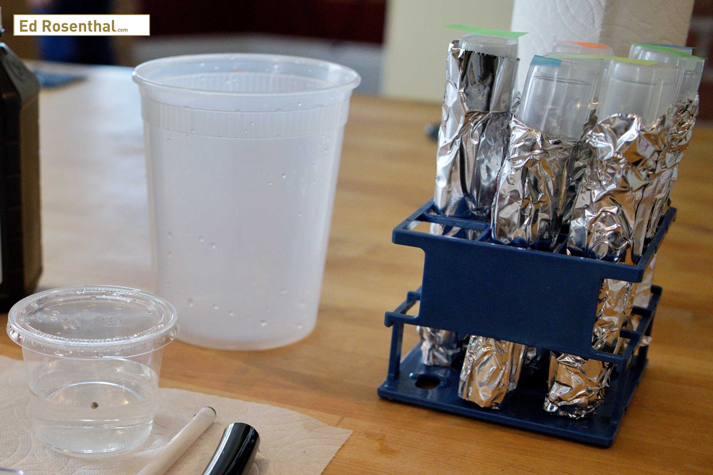 Wrapping the test tubes in aluminum foil encourages the cannabis seedling to grow toward the light. This makes transplanting cannabis seedling easier. Purple Caper Seeds photo by Lizzy Cozzi.