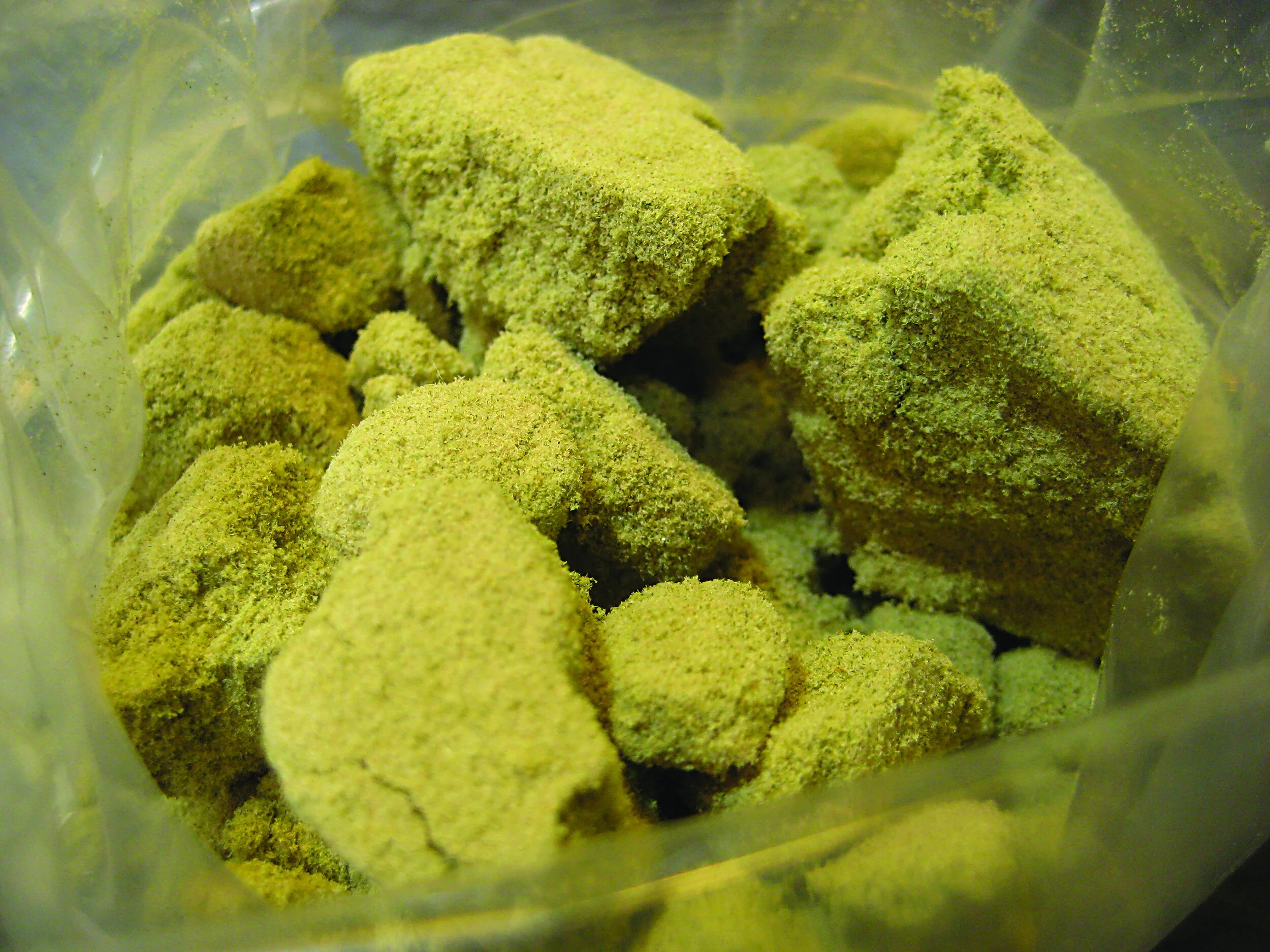 Sensi Star Kief 1.jpg