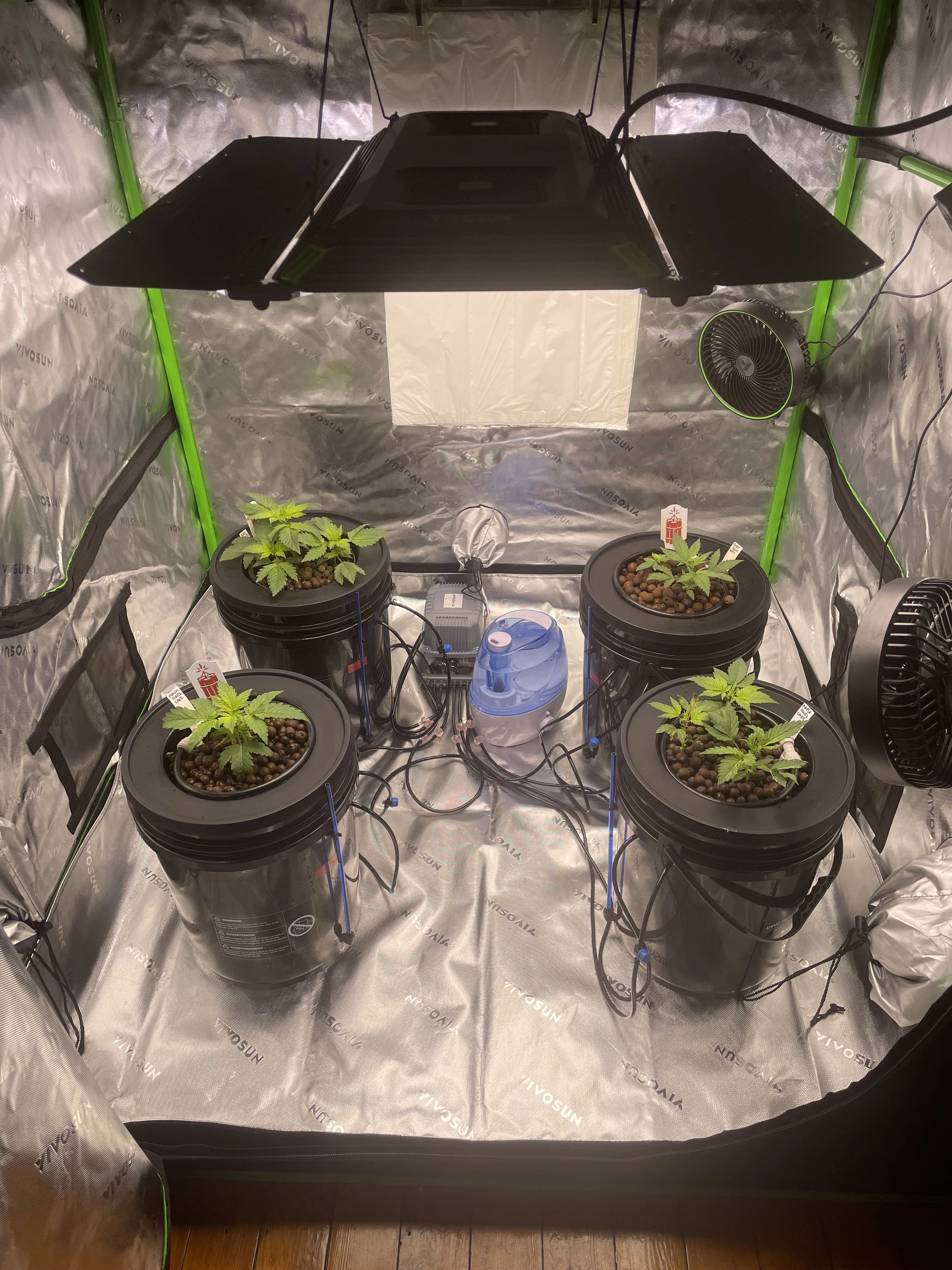 Cannabis Indoor Growing Class: Choosing Your Grow Tent and Setting Up a Hydroponic System