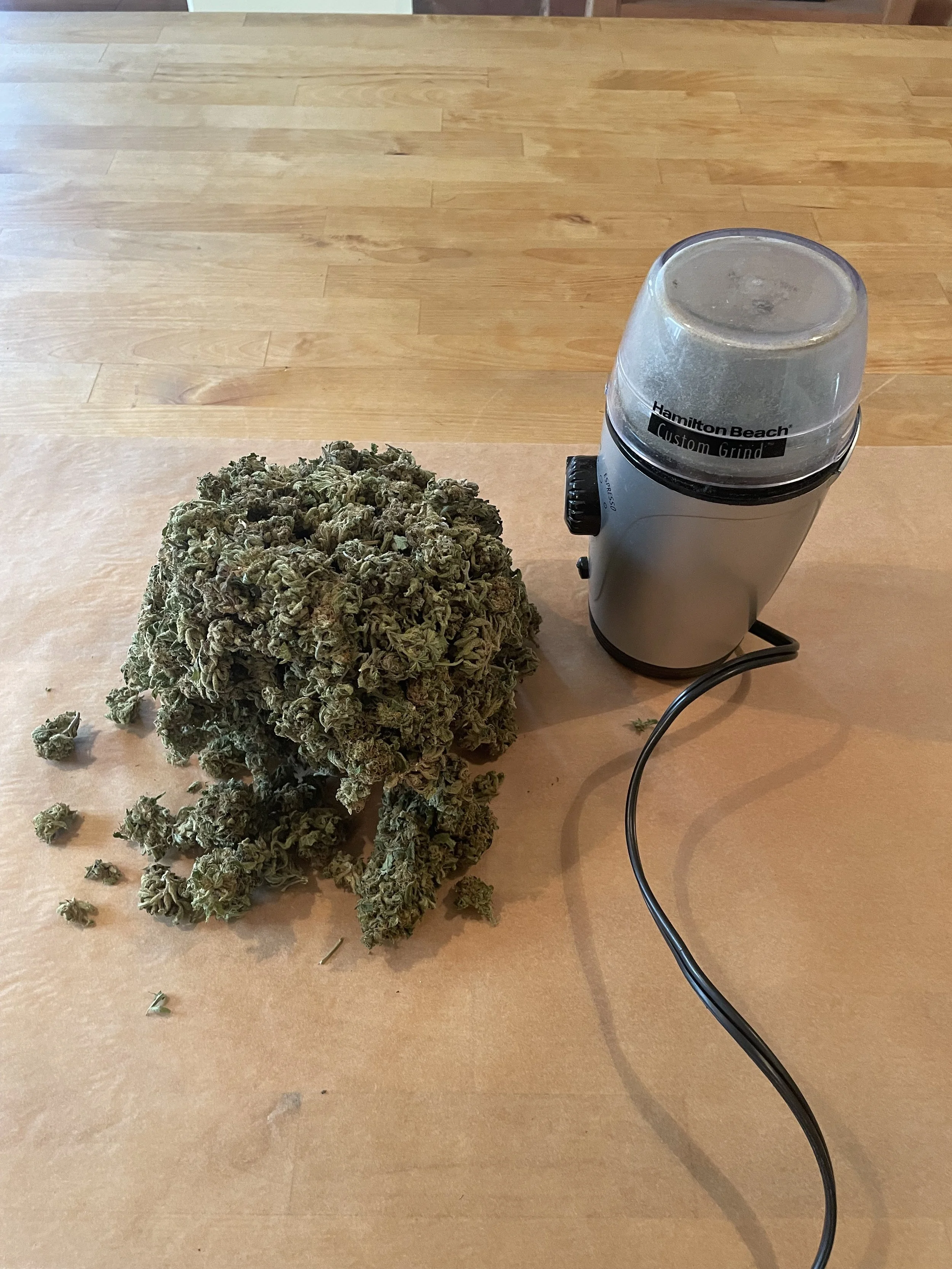 grinding-cannabis-flower-for-decarboxylation-blackberry-fire.