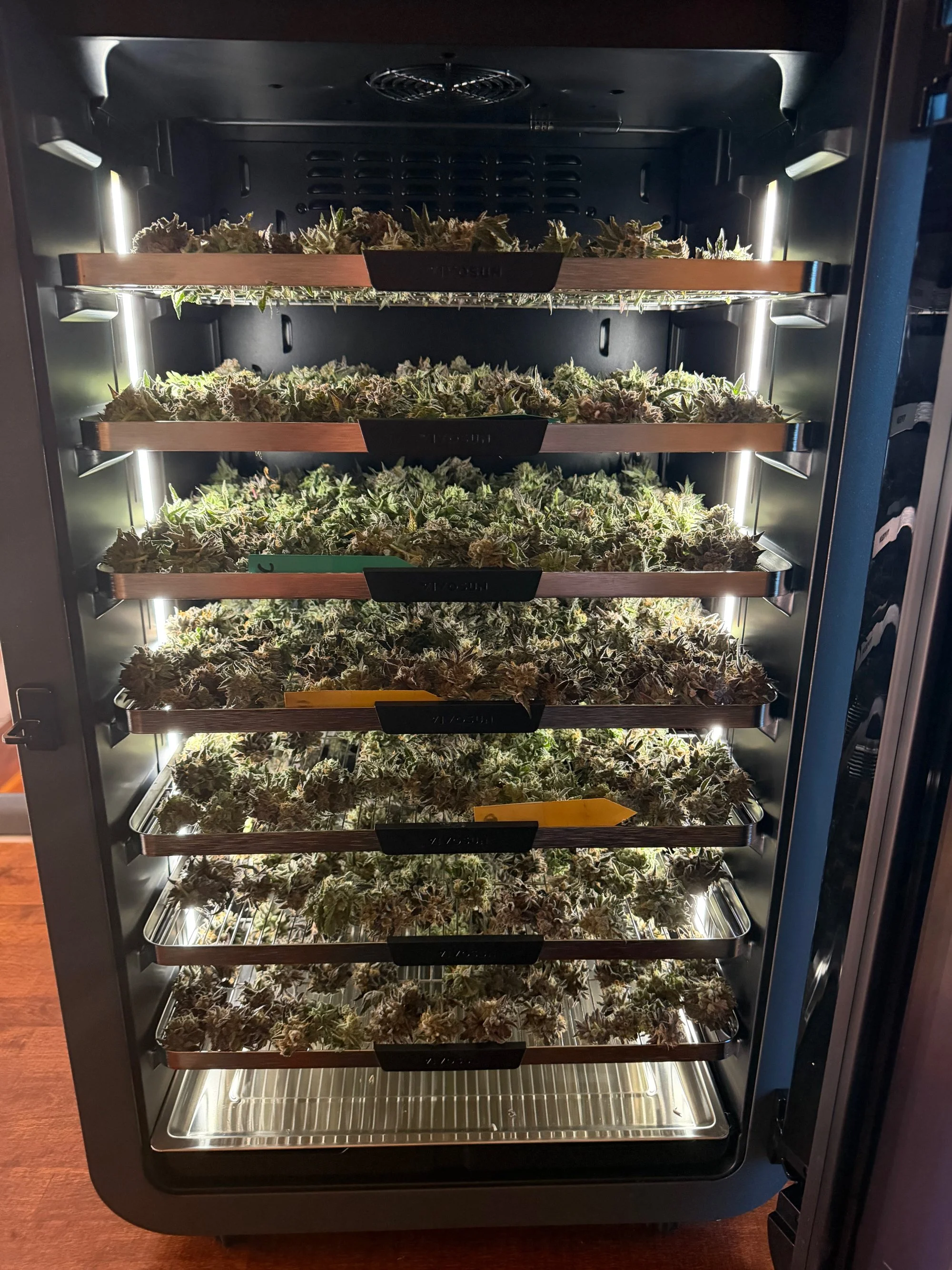 Open VIVOSUN VCure drying cabinet filled with cannabis flowers arranged across multiple illuminated trays for controlled drying and curing.