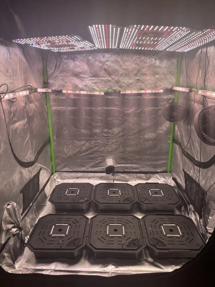 Empty VIVOSUN 4×4 tent with AeroLight Wing and LumaRay side lights installed for full canopy coverage.