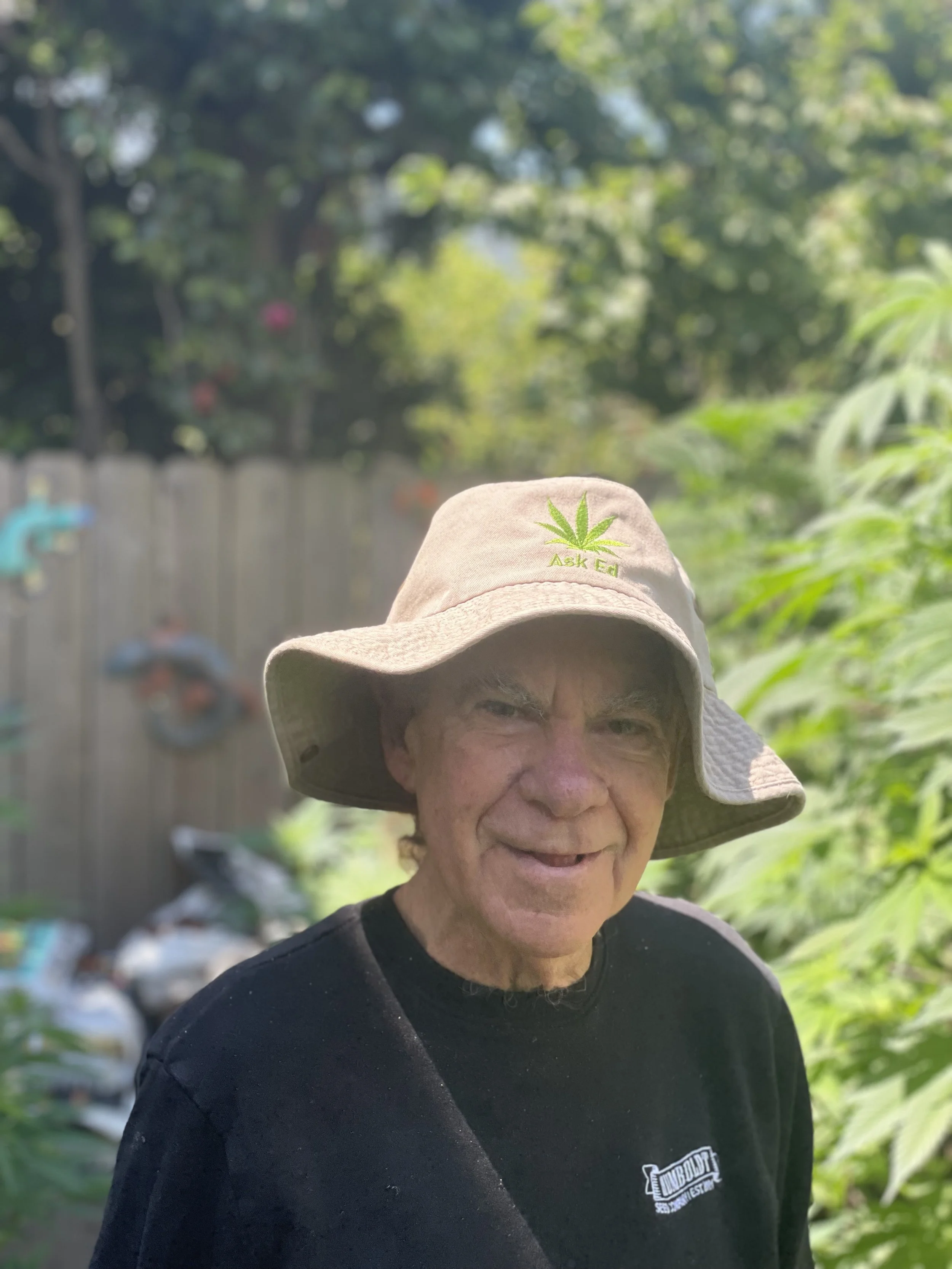 Ed Rosenthal in a cannabis garden during peak growing season, reminding growers to stay vigilant against powdery mildew as conditions become favorable.
