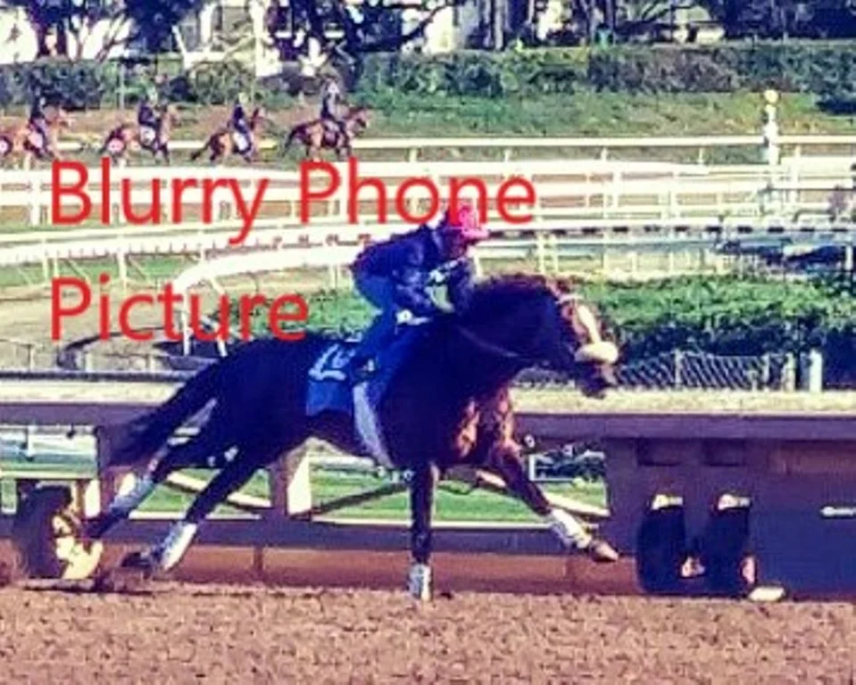 Galloping horse taken with a Phone at 20 yds
