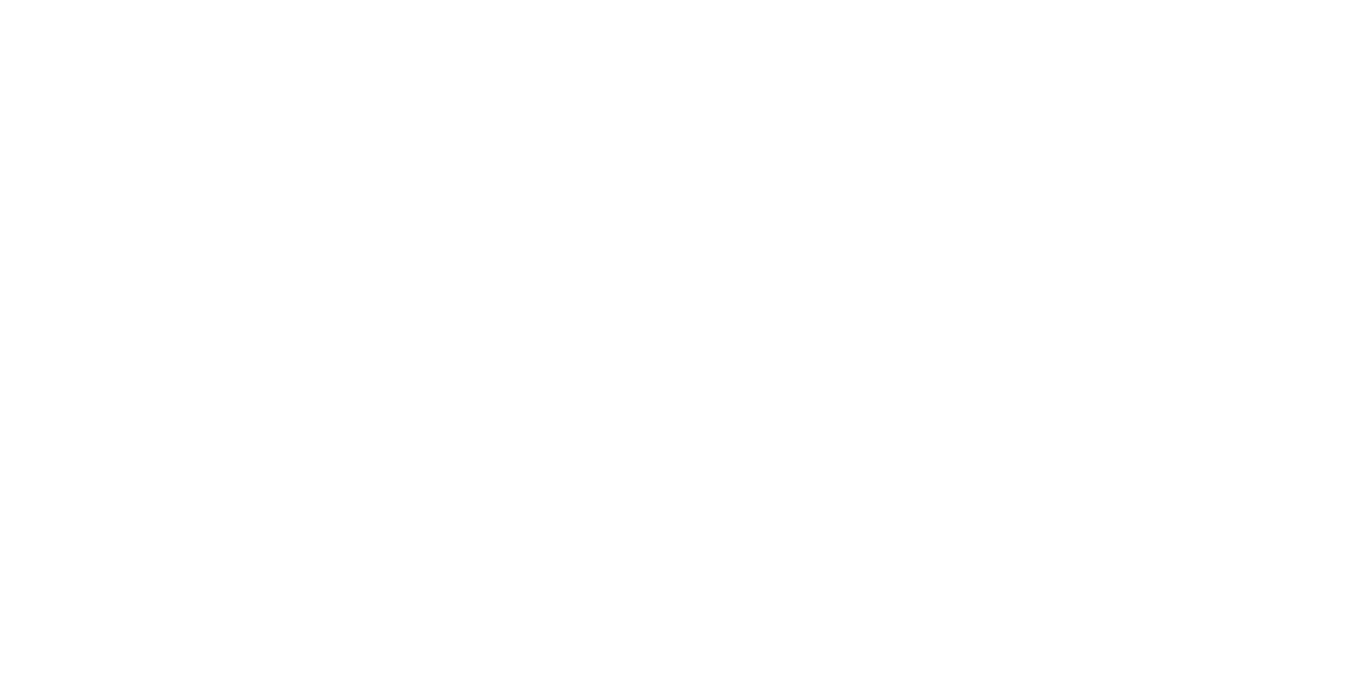 Engel Fires Full Logo White.png
