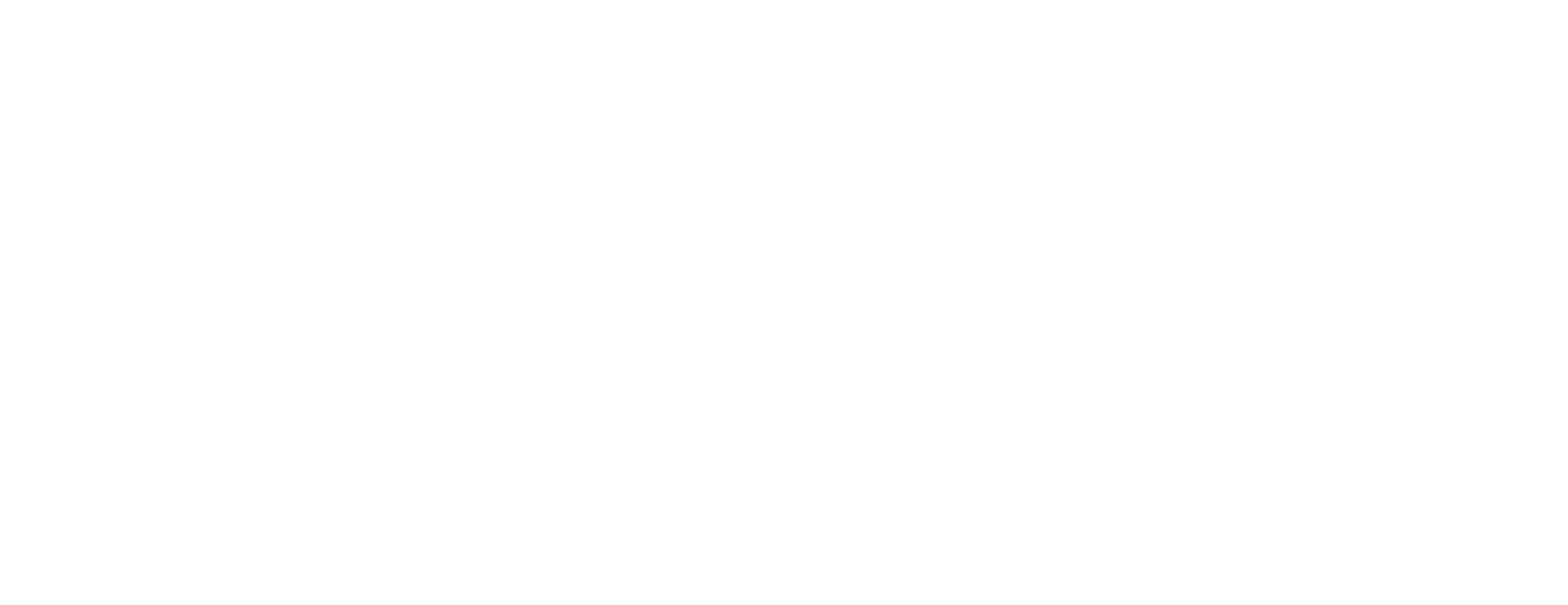 Engel Fires – Premium Outdoor Cookers