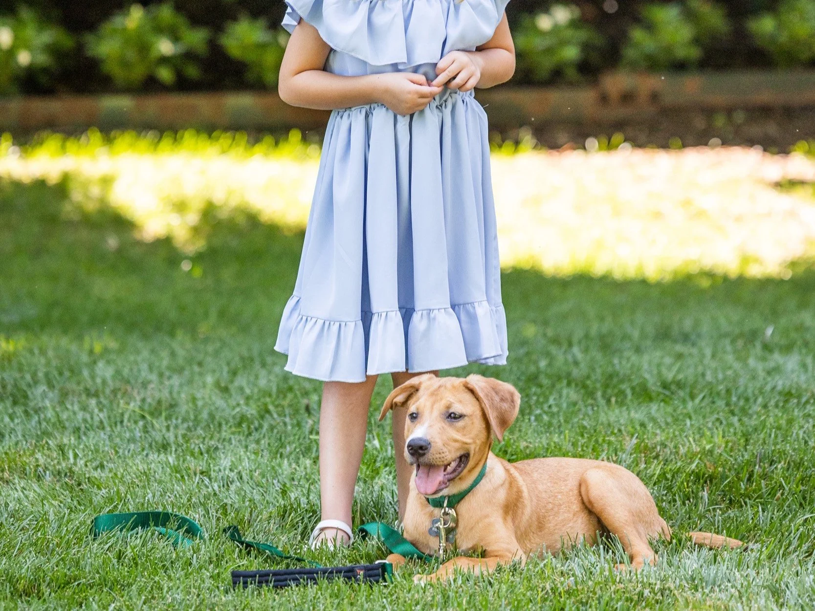 Including pets in your portrait session