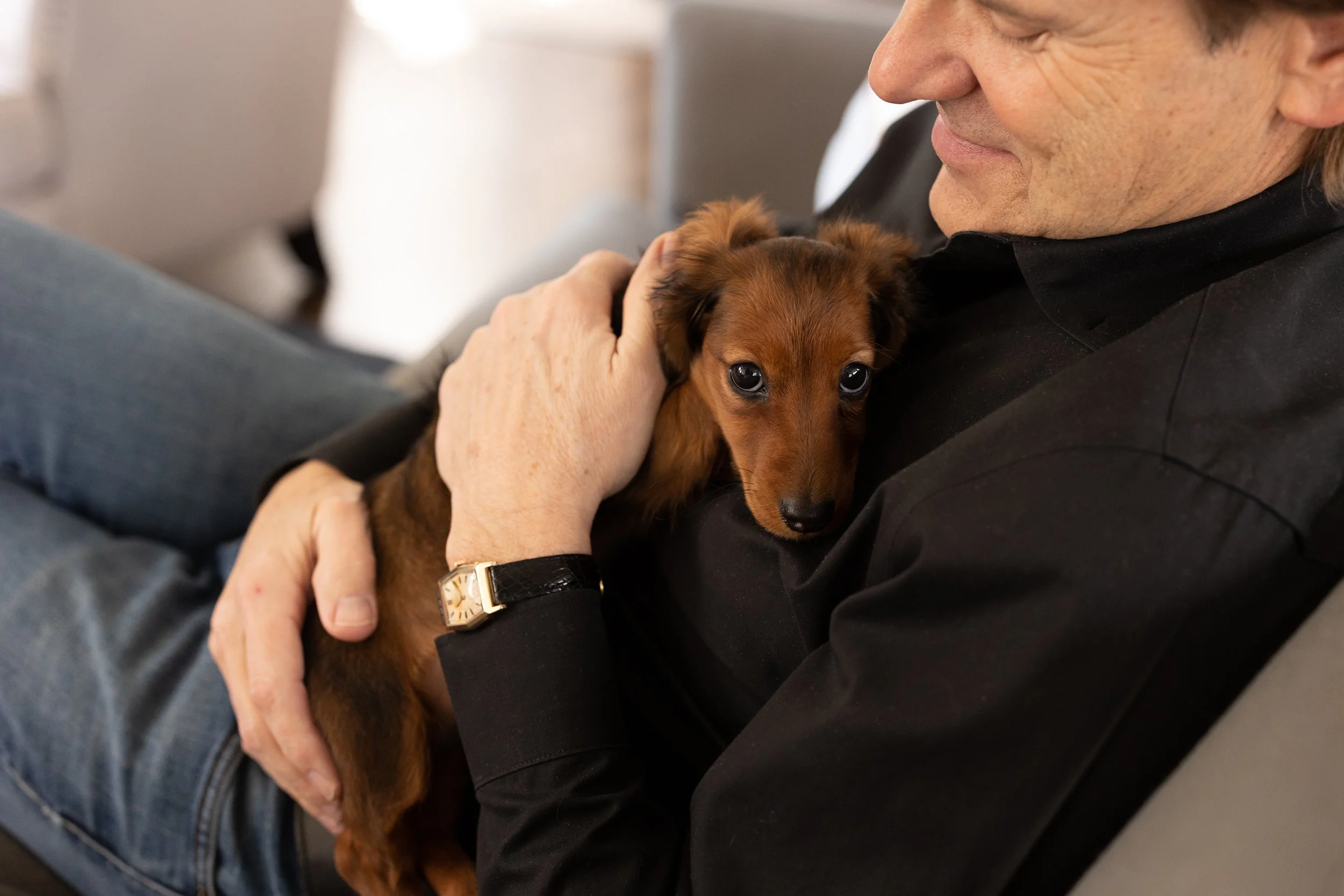 what to know for a great pet session