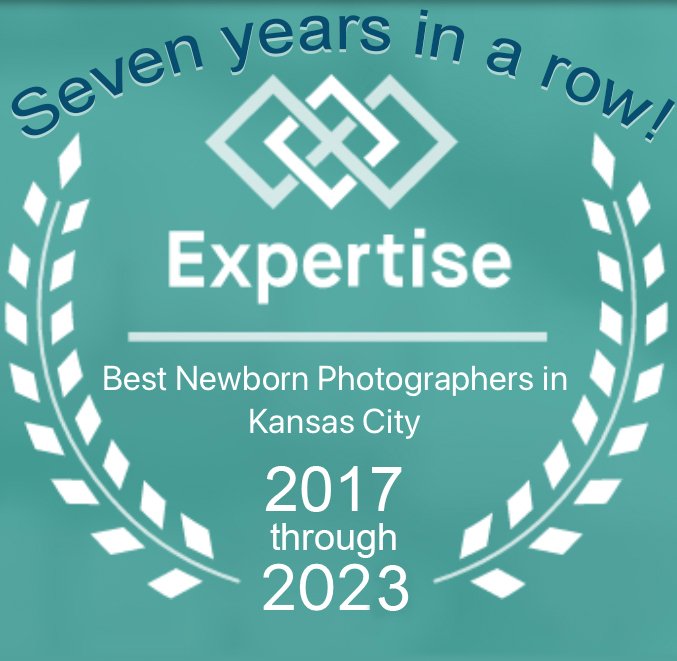 Lea Murphy Photography I children's portraits I best newborn photographer in Kansas City I expertise award 