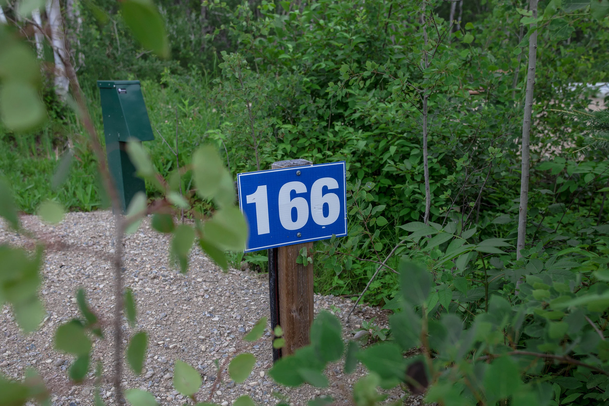 IMG_9559 copy.jpg