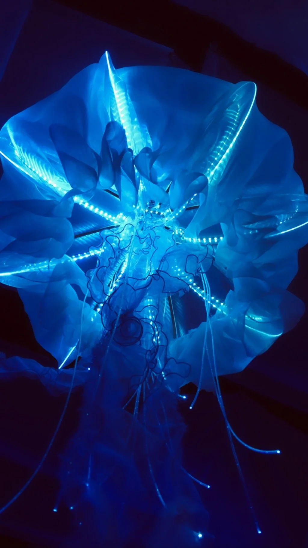 Fernando_Randy_OceanCube_2019_Light_8' Wide.jpg