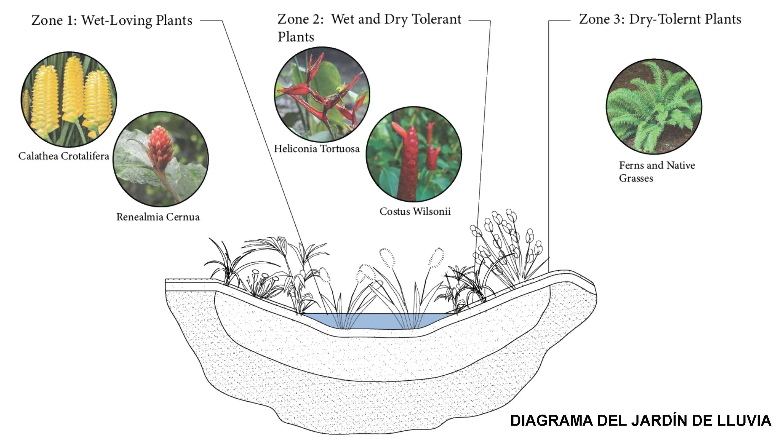 FINAL Riochante Presentation_Page_45.jpg