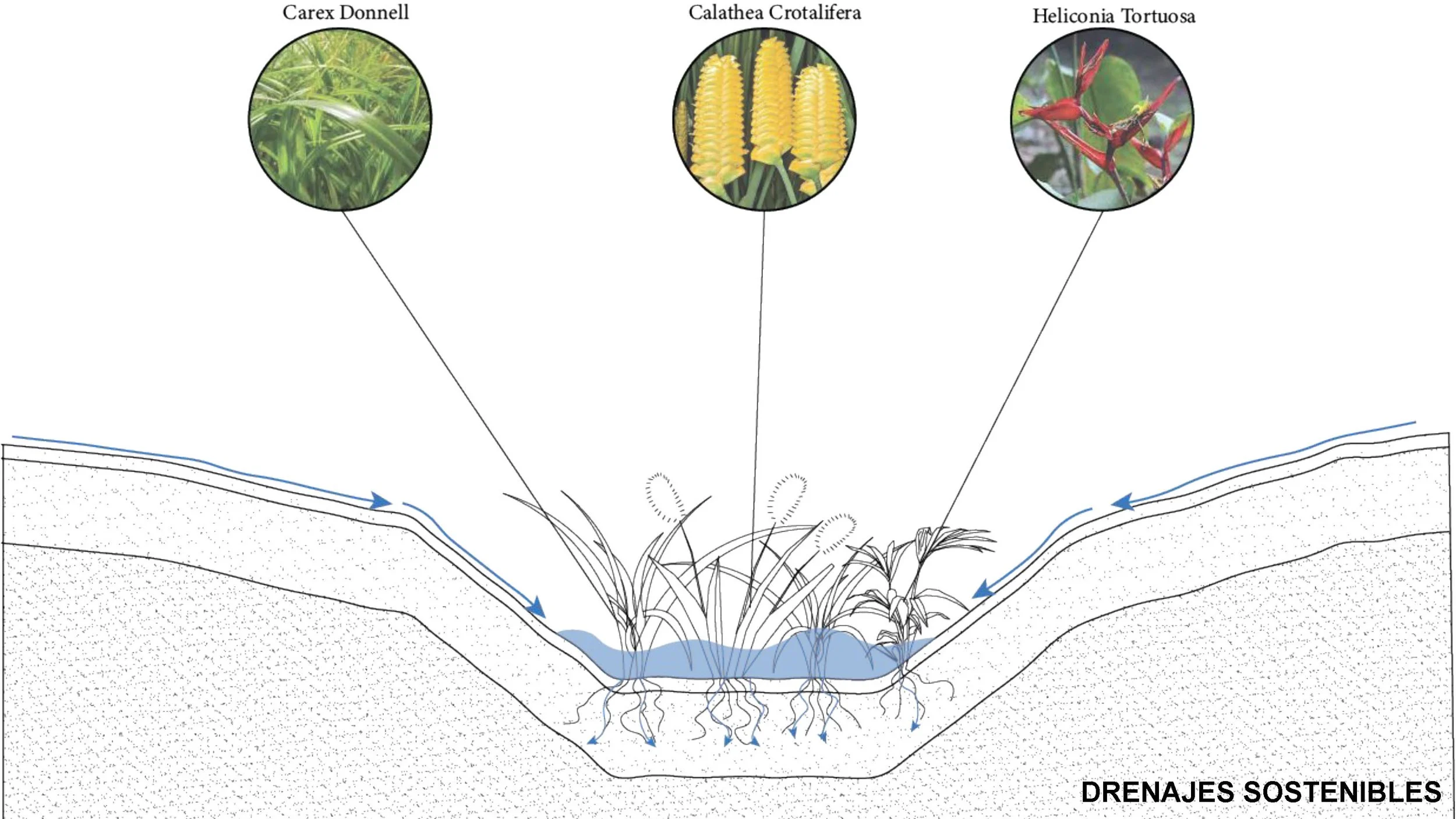 FINAL Riochante Presentation_Page_46.jpg