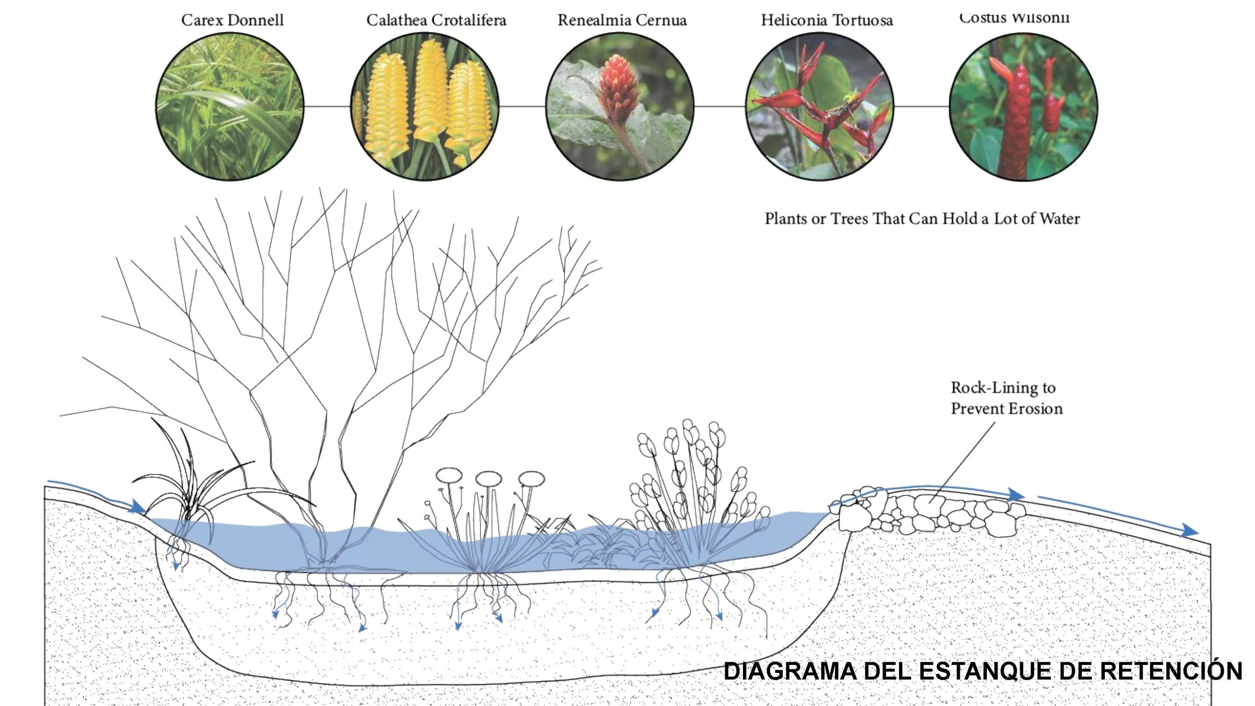 FINAL Riochante Presentation_Page_47.jpg