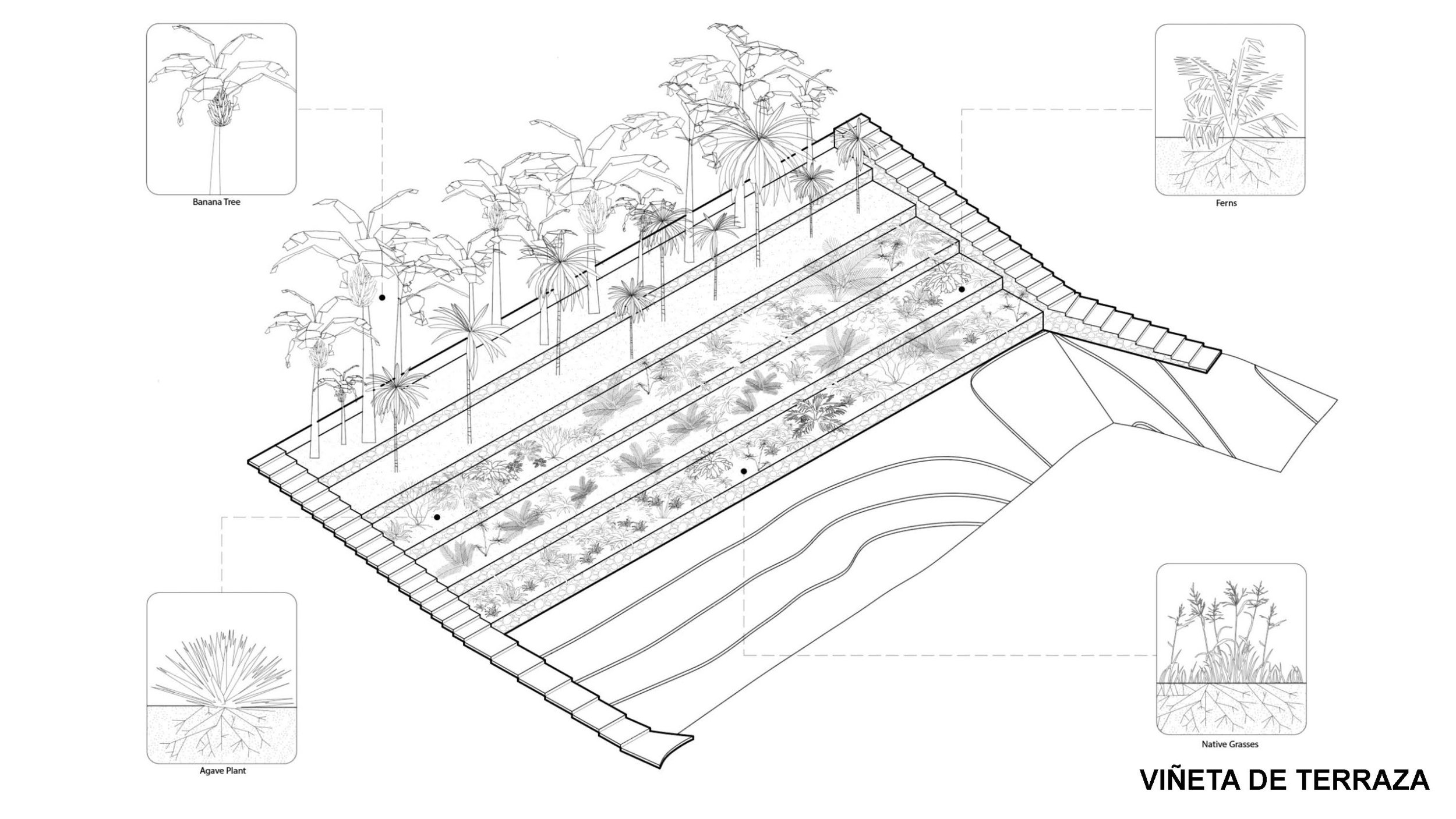 FINAL Riochante Presentation_Page_49.jpg