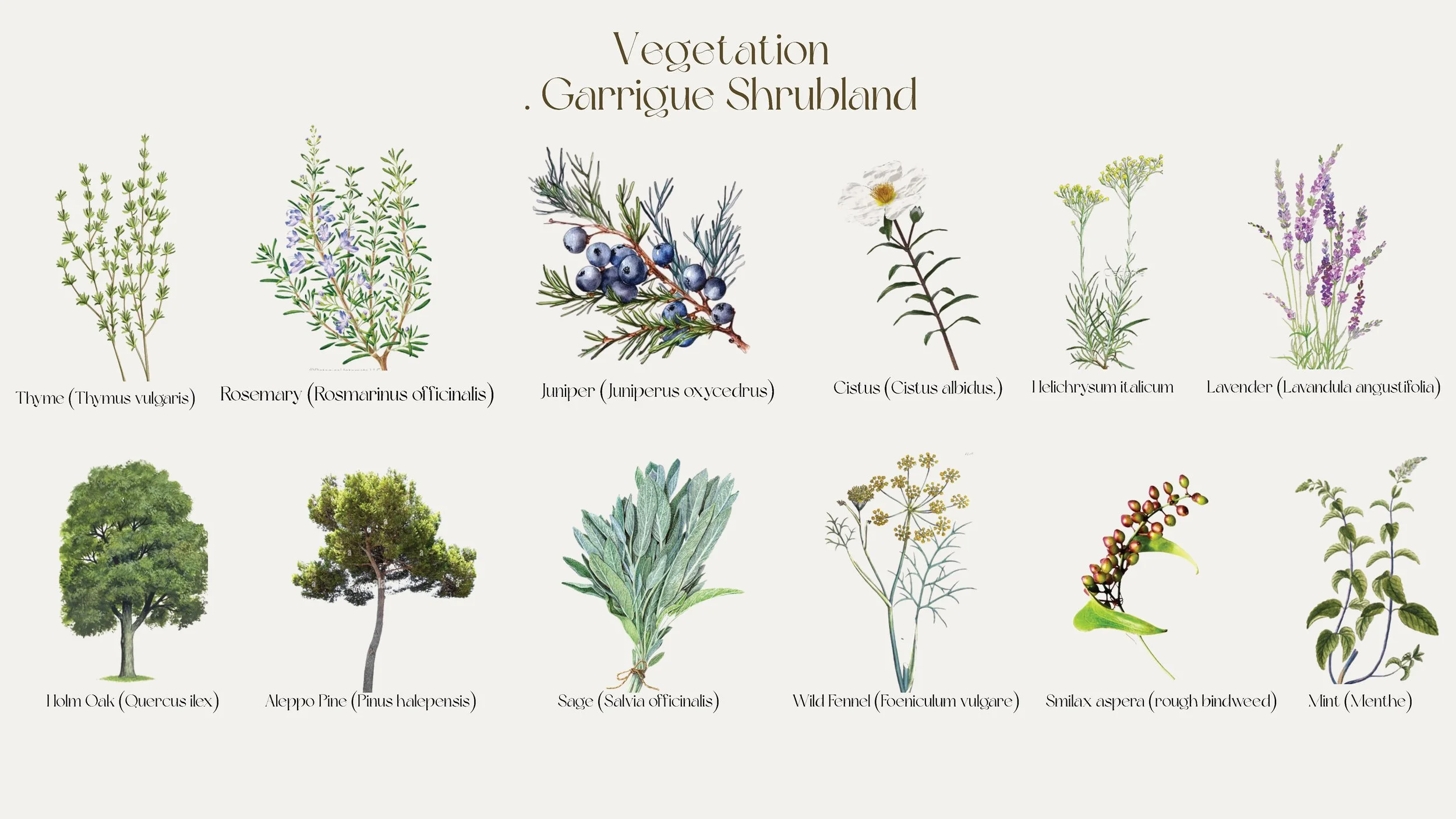 Le Chateau & FFE Moore_Page_16.jpg