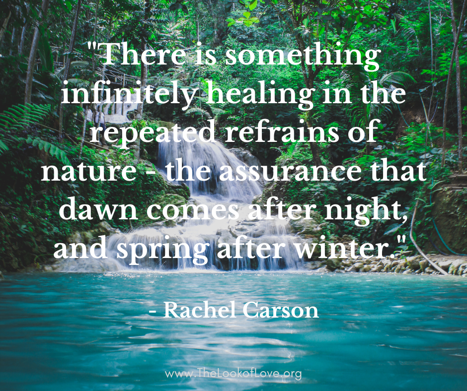 Final+-+There+is+something+infinitely+healing+in+the+repeated+refrains+of+nature+-+the+assurance+that+dawn+comes+after+night,+and+spring+after+winter.+-+Rachel+Carson - Copy - Copy.png