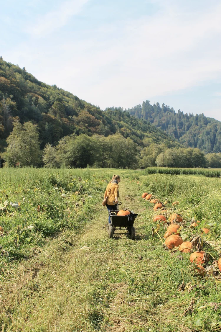 Farms & Ranches — Wild Rivers Coast Food Trail