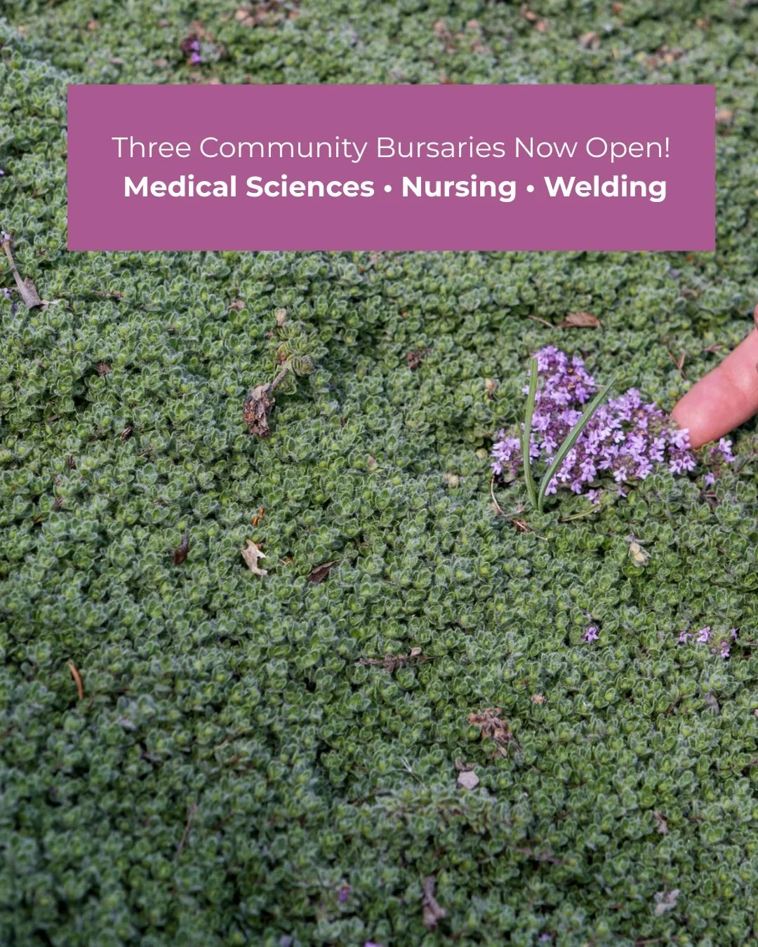 Dreaming of a career in Medical Sciences, Nursing, or Welding? 🔧🩺

Three Community Bursaries are now open until March 1. 

Learn more and apply at the link in our bio.