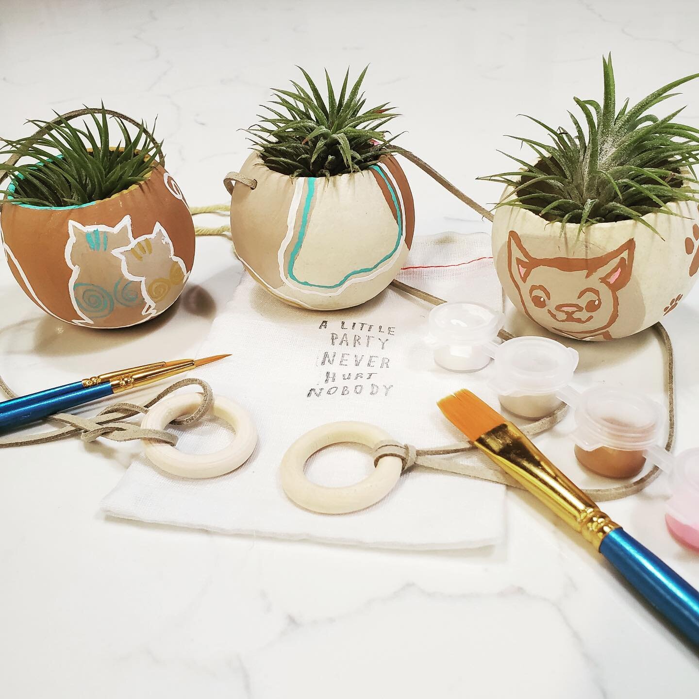 Sometimes we get have a little fun in the office!!! 🎨 

Thank you to all those that organized this event, we loved crafting with you and these amazing air plants we get to enjoy!

#airplants #crafting #teambonding #art #painting #officefun