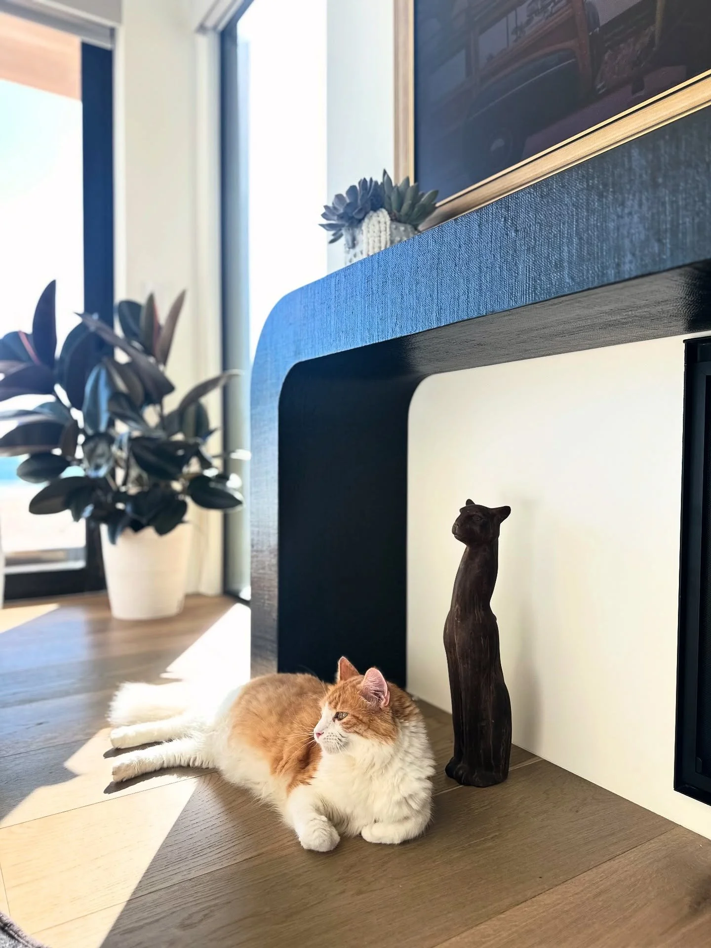 The purrrfect pose! 

Had the cutest visitor at our latest photo shoot!