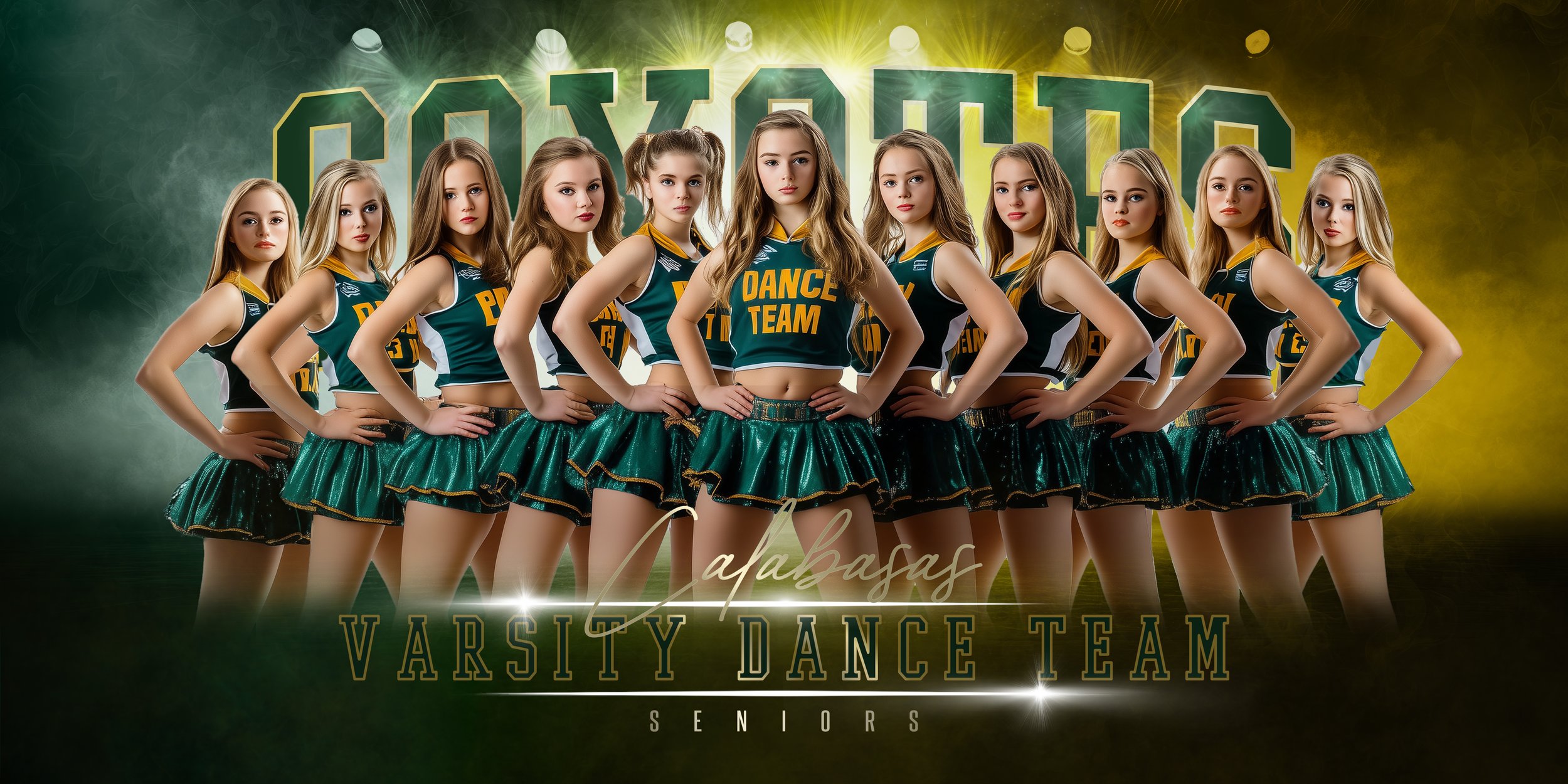 Elite Edge Dance 2x1 Banner