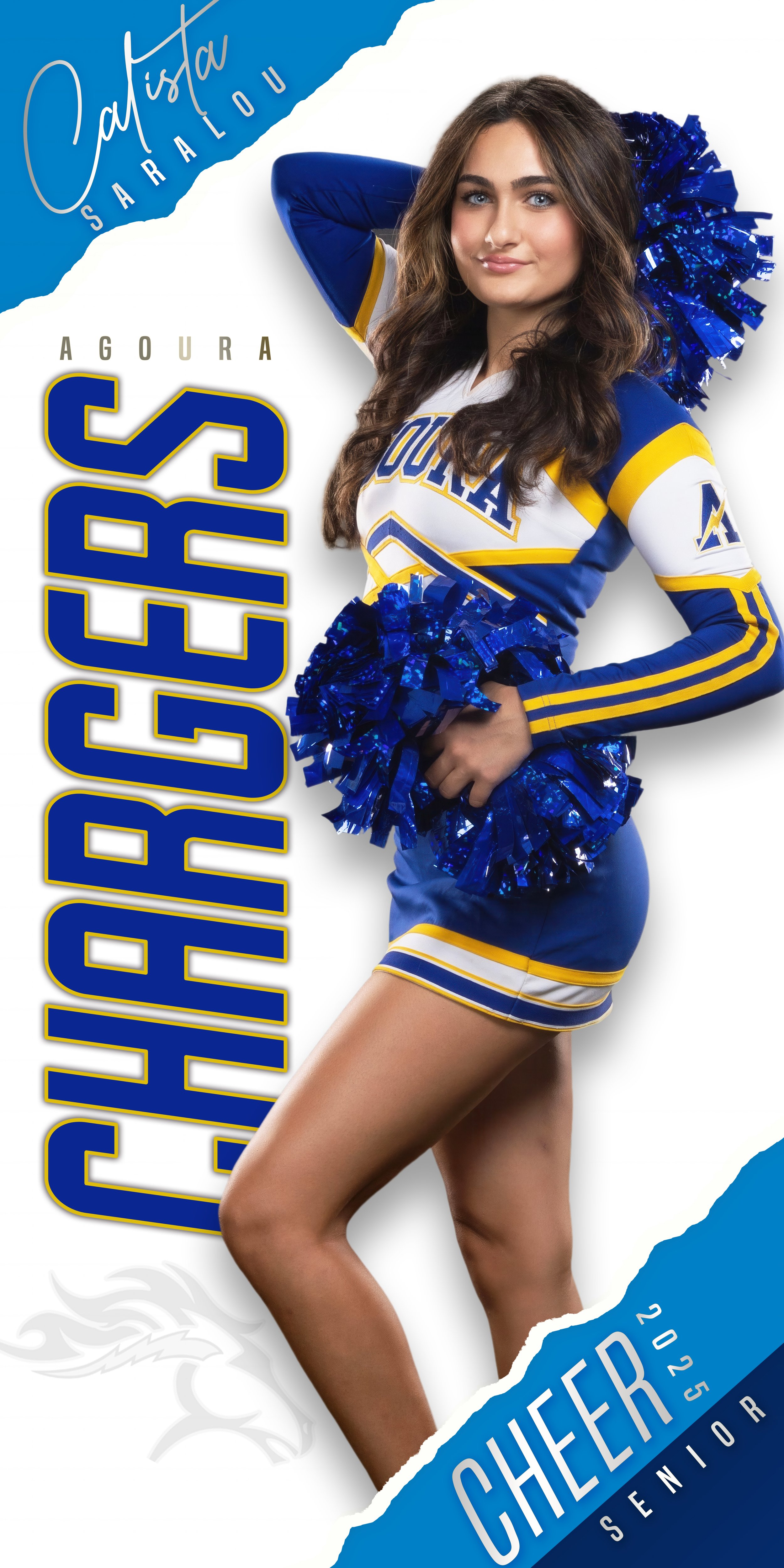 Chargers Torn Edge 1x2 Banner