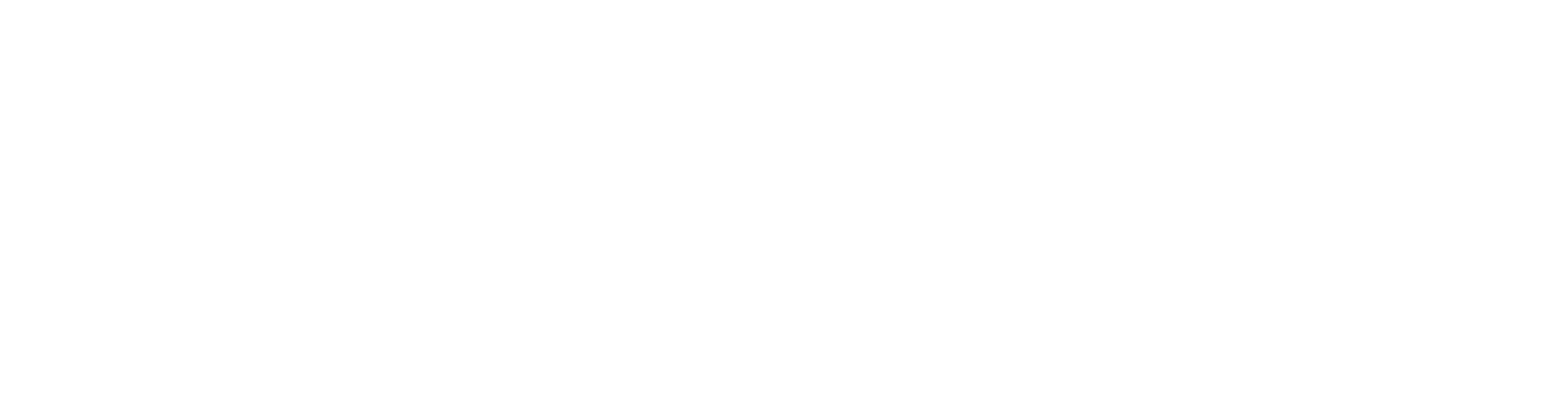 Living Stone Electric