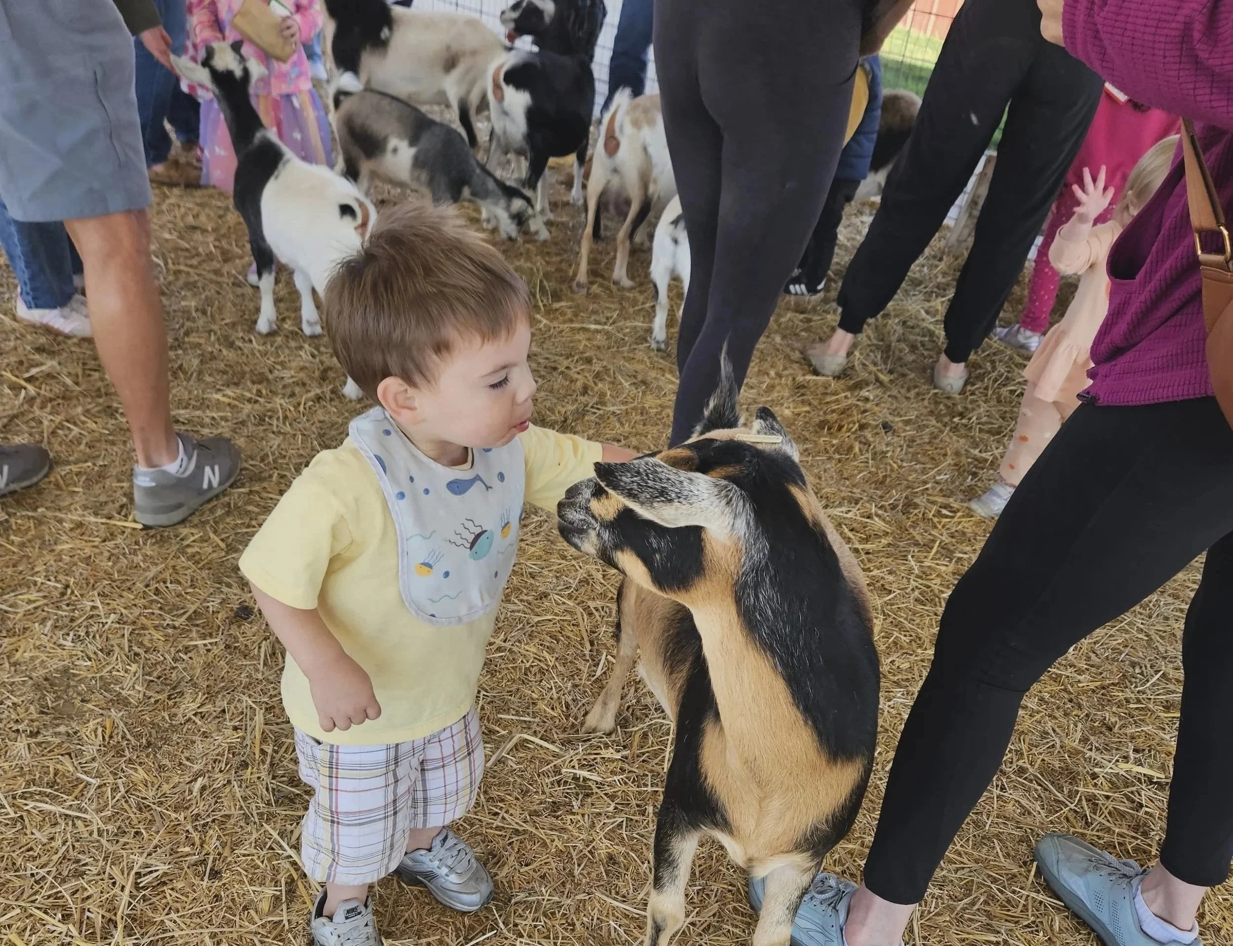 Ashton with Goat.jpg